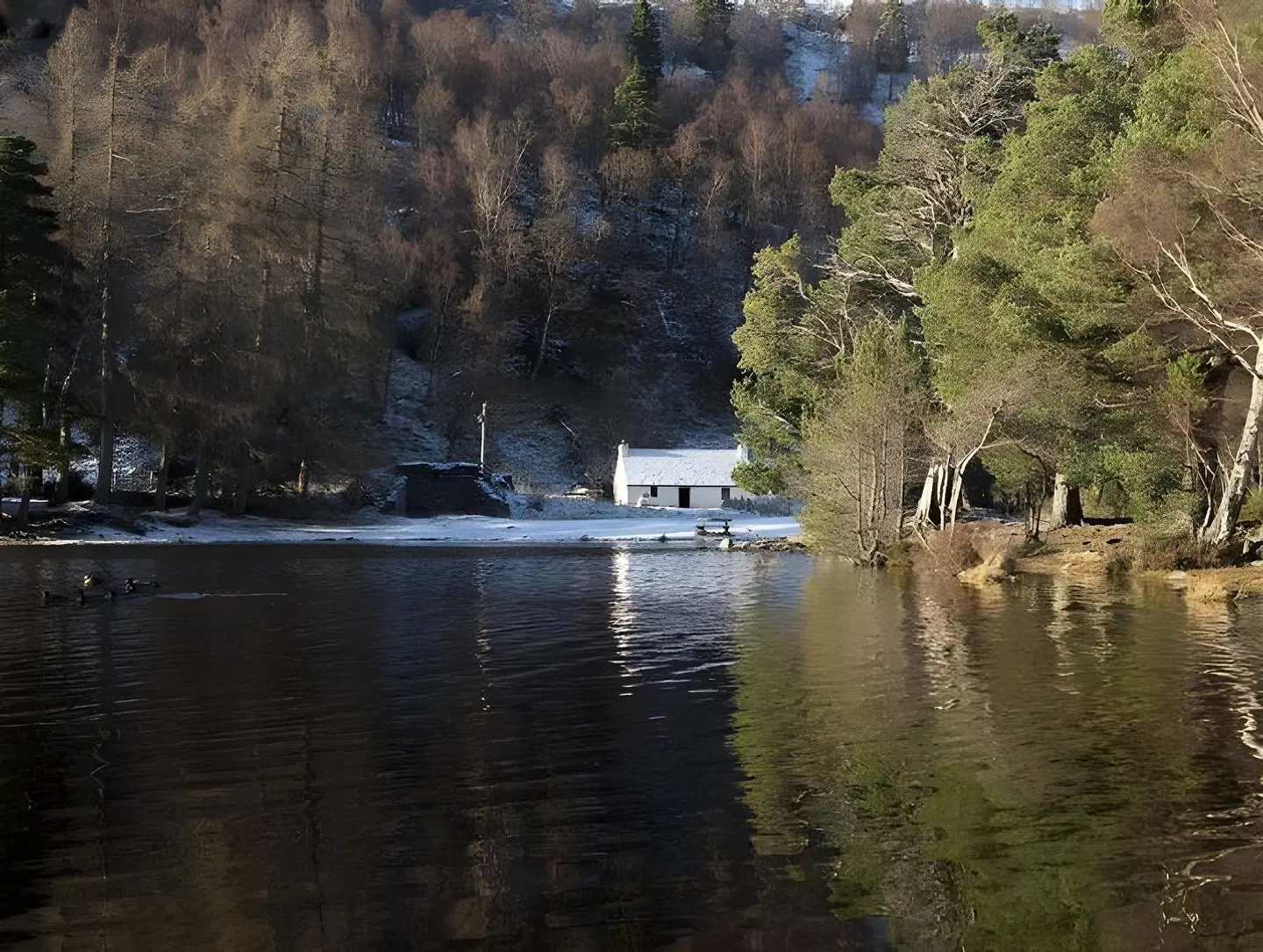 Scandinavian Village Ltd LANDSCAPE