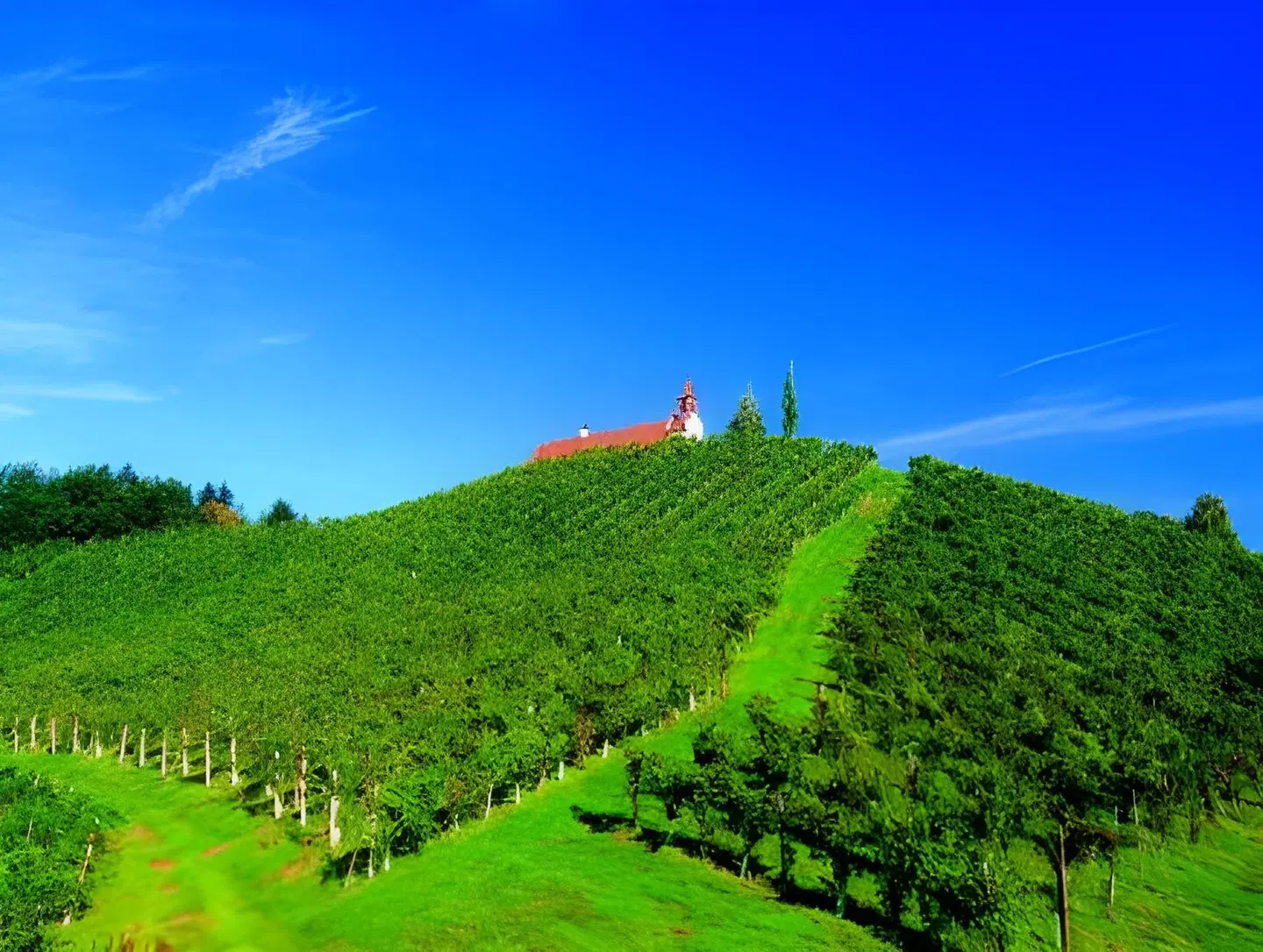 Landgut am Pössnitzberg LANDSCAPE