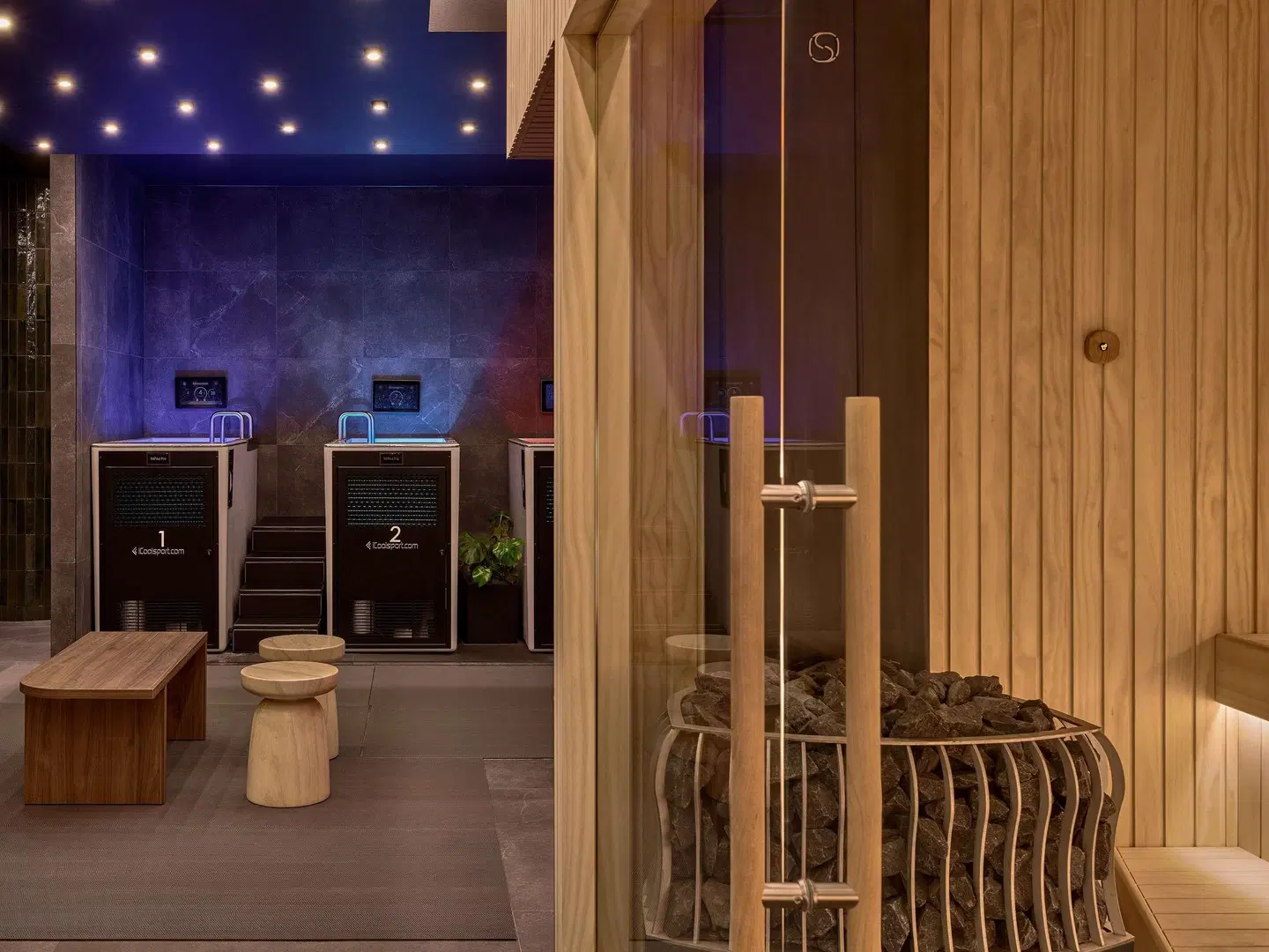 Sofitel Sydney Wentworth Hotel Bar