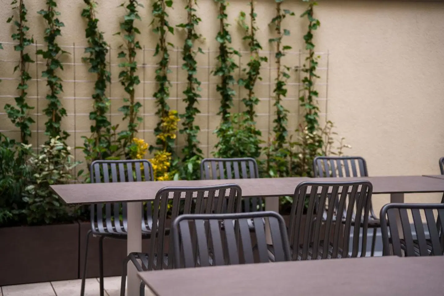 The Honest Budapest by Chic&Basic Terrasse