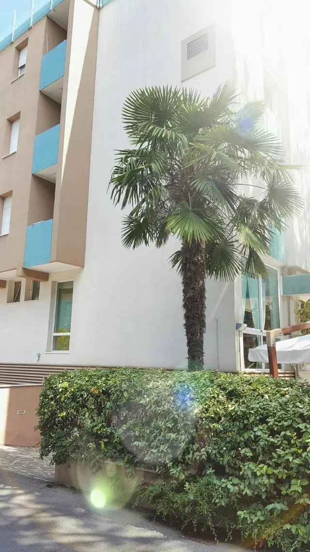 Calypso EXTERIOR