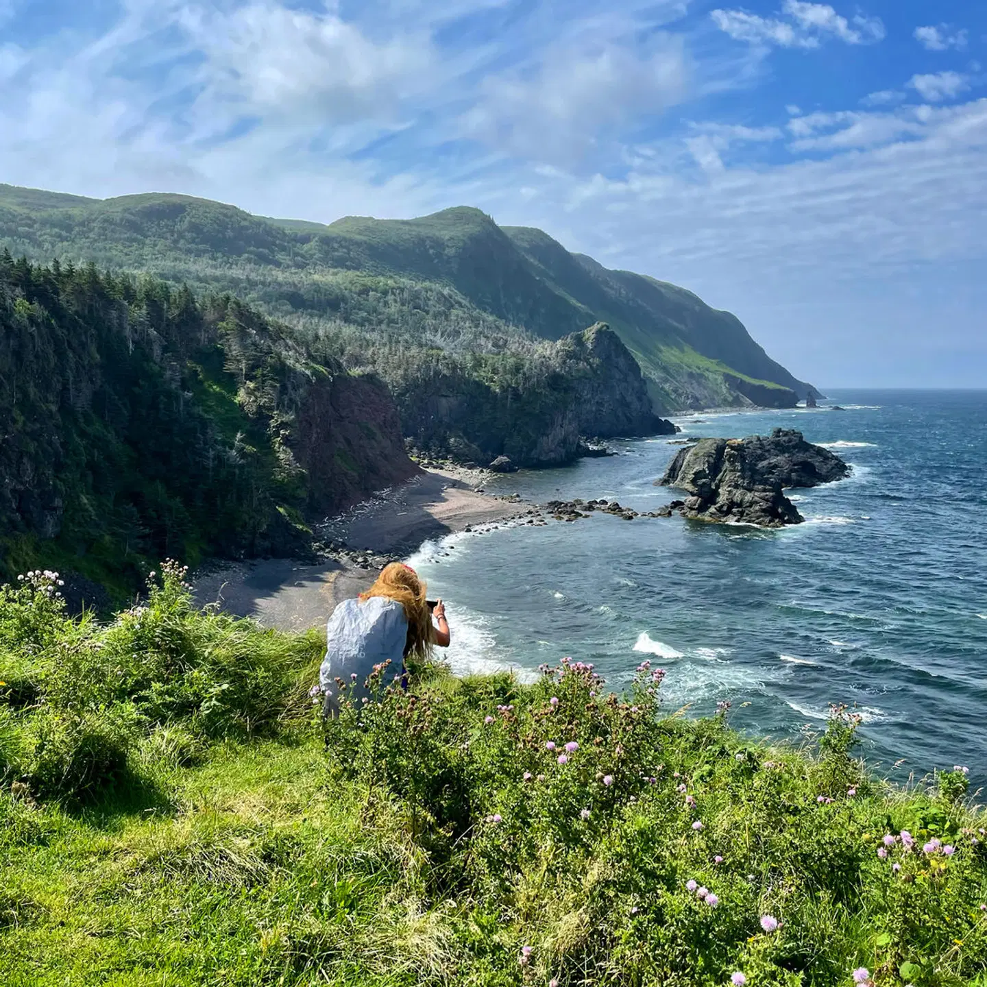 Wild Gros Morne LANDSCAPE