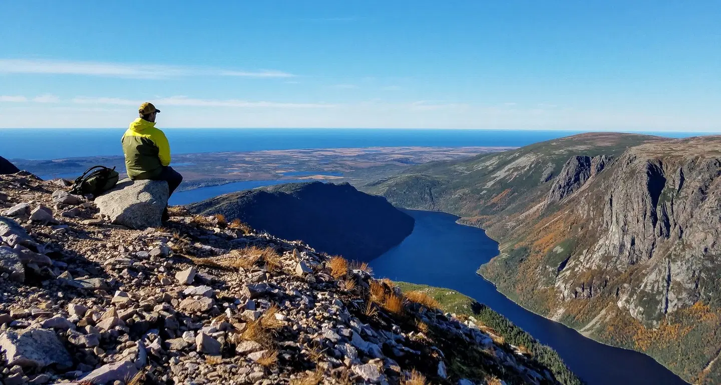 Wild Gros Morne LANDSCAPE