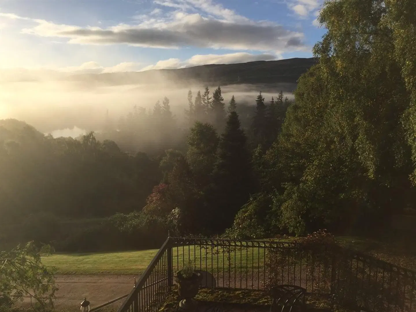 Highland Bear Lodge LANDSCAPE