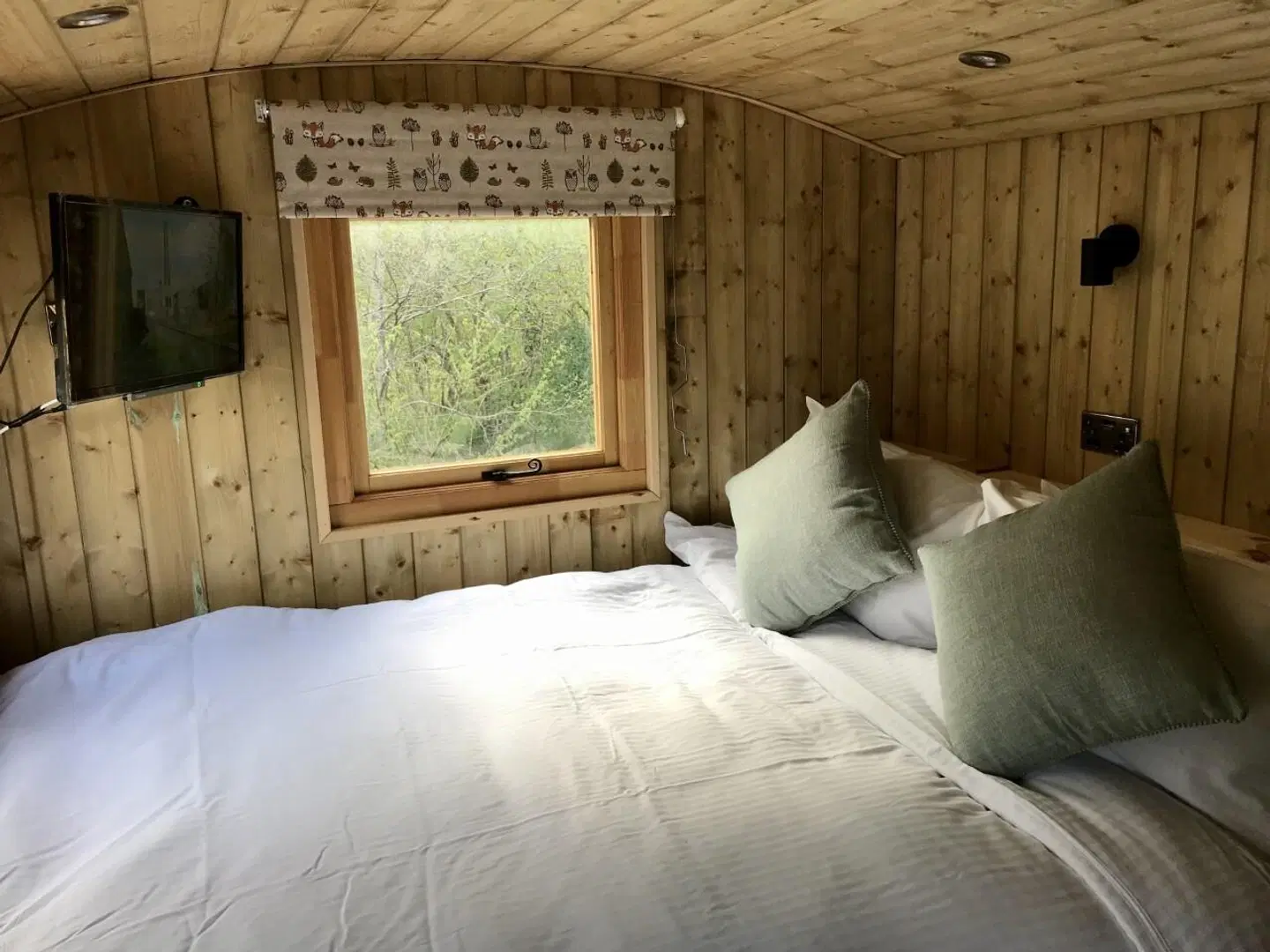 Highland Bear Lodge ROOM_EXAMPLE