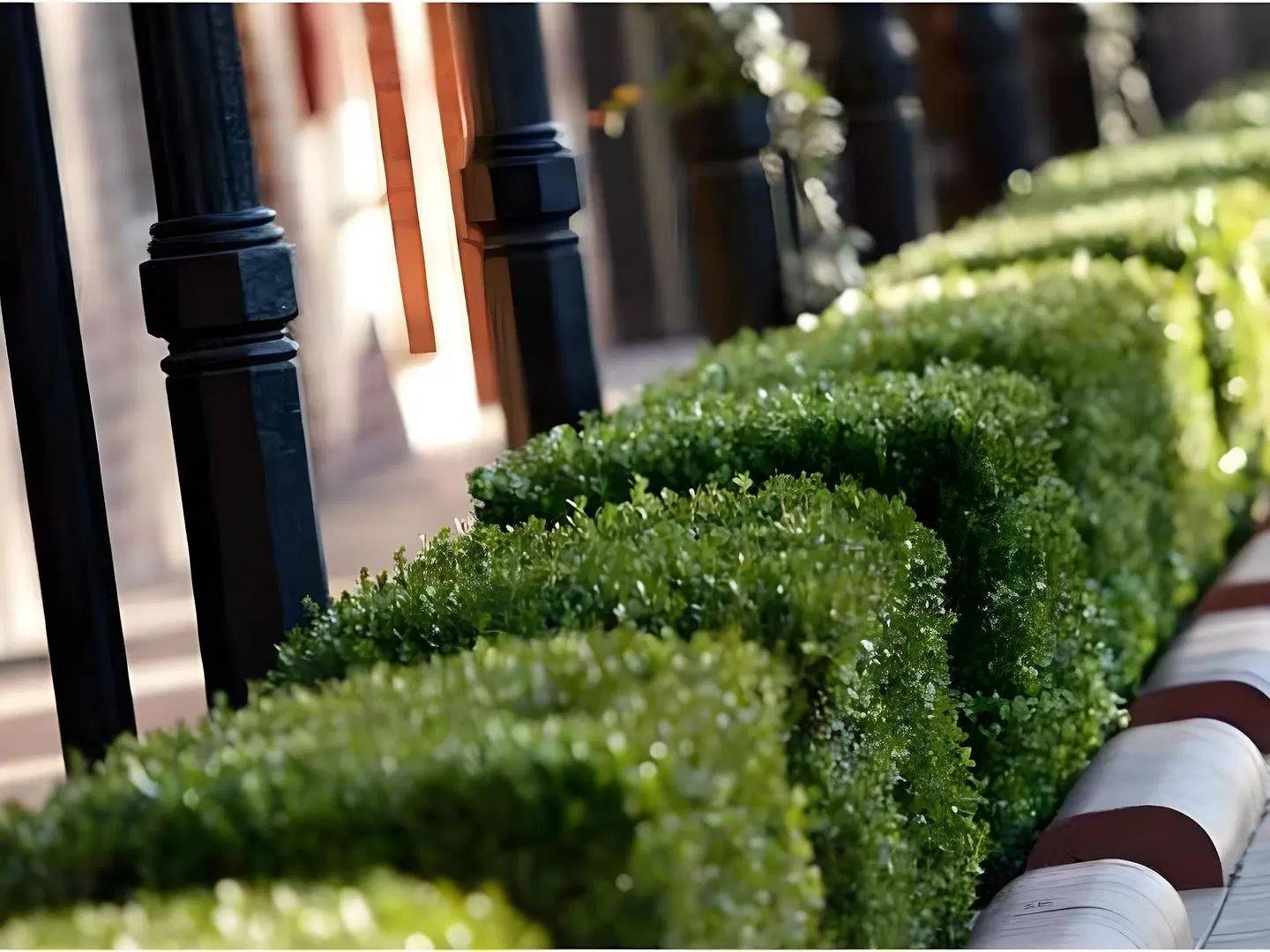 Carlyle Suites & Apartments Garten