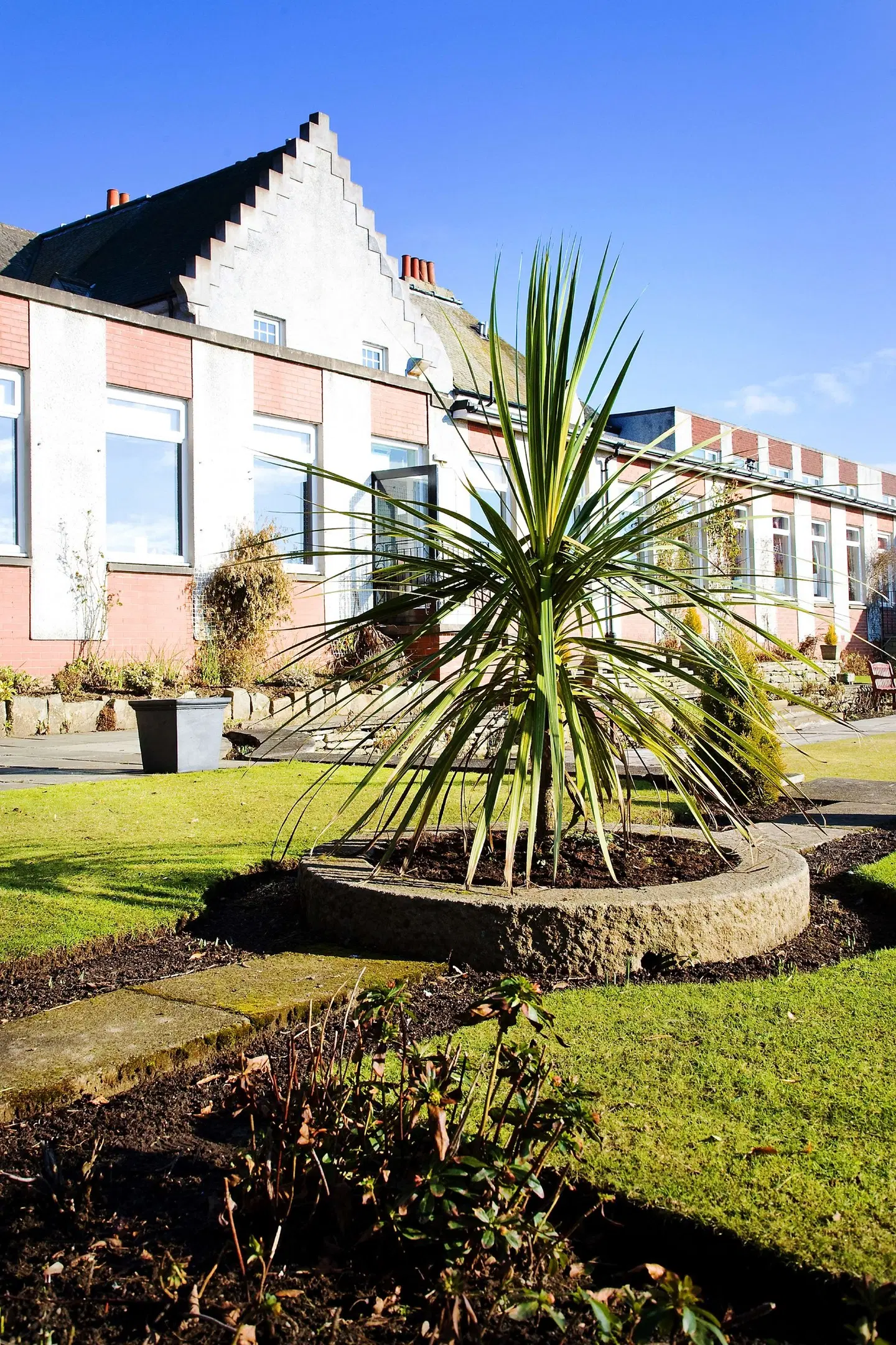 Pitbauchlie House Garten