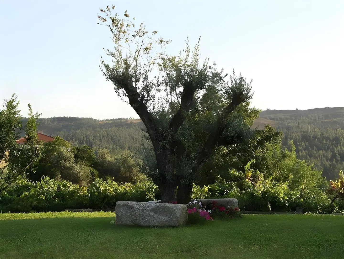 Casa Valxisto LANDSCAPE