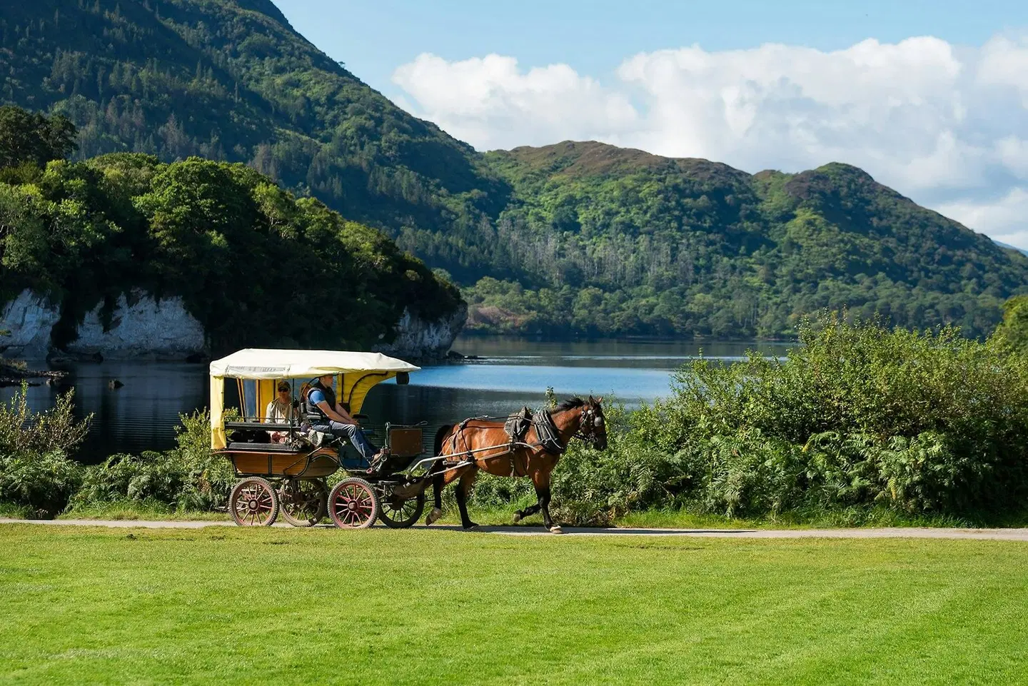 The Brehon Hotel & Spa Tiere