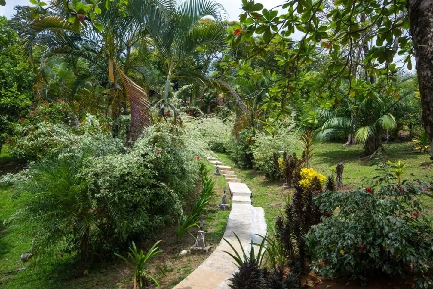 Drake Bay & Corcovado Nationalpark (ab/bis Sierpe) Garten