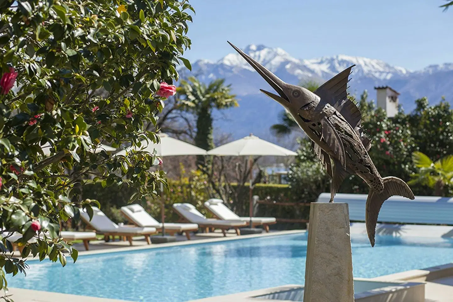 Remorino OUTDOOR_POOL