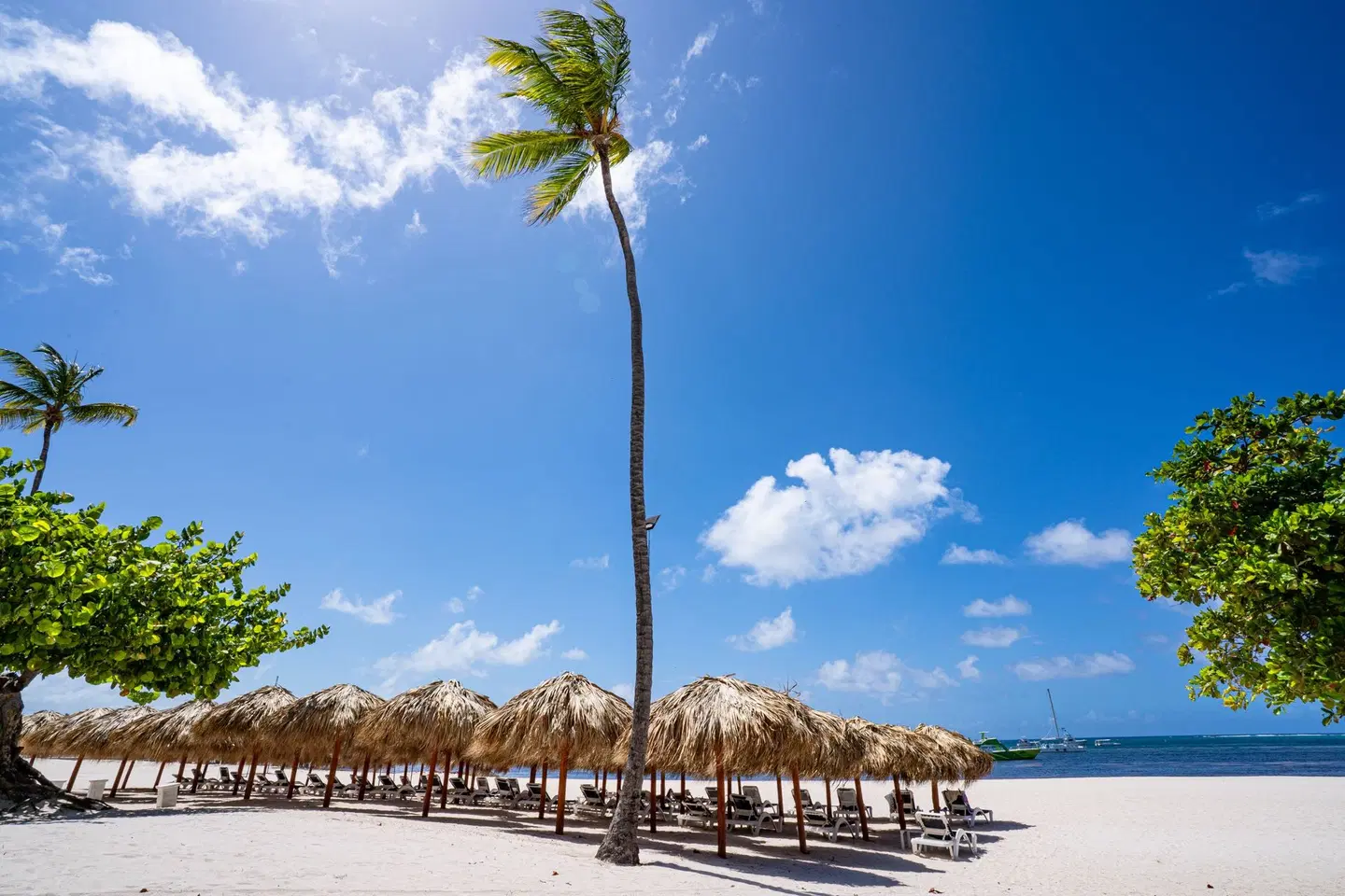 Bakour Punta Cana Suites Strand