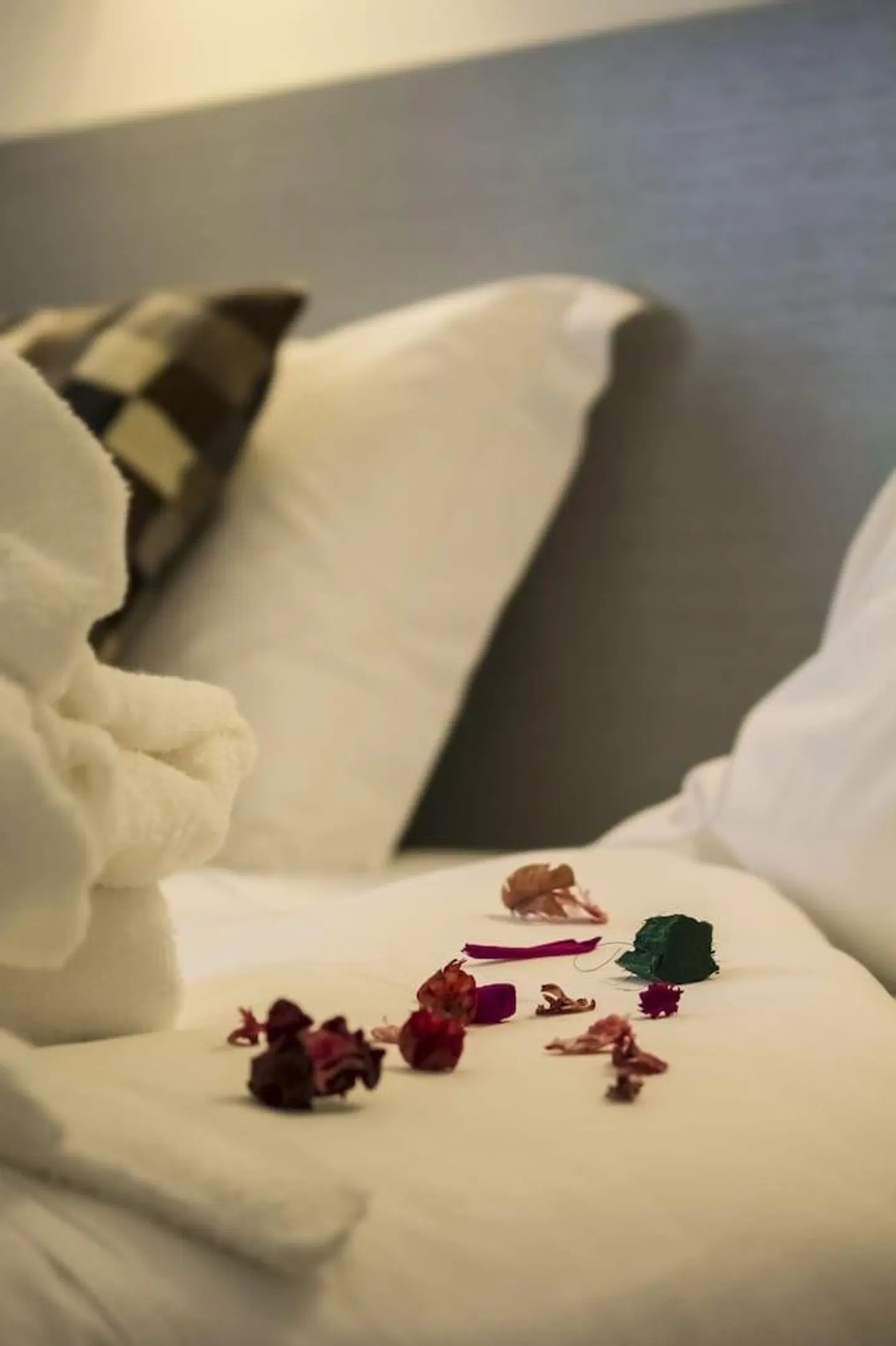 Black Tulip - Porto Gaia HEALTH_BEAUTY