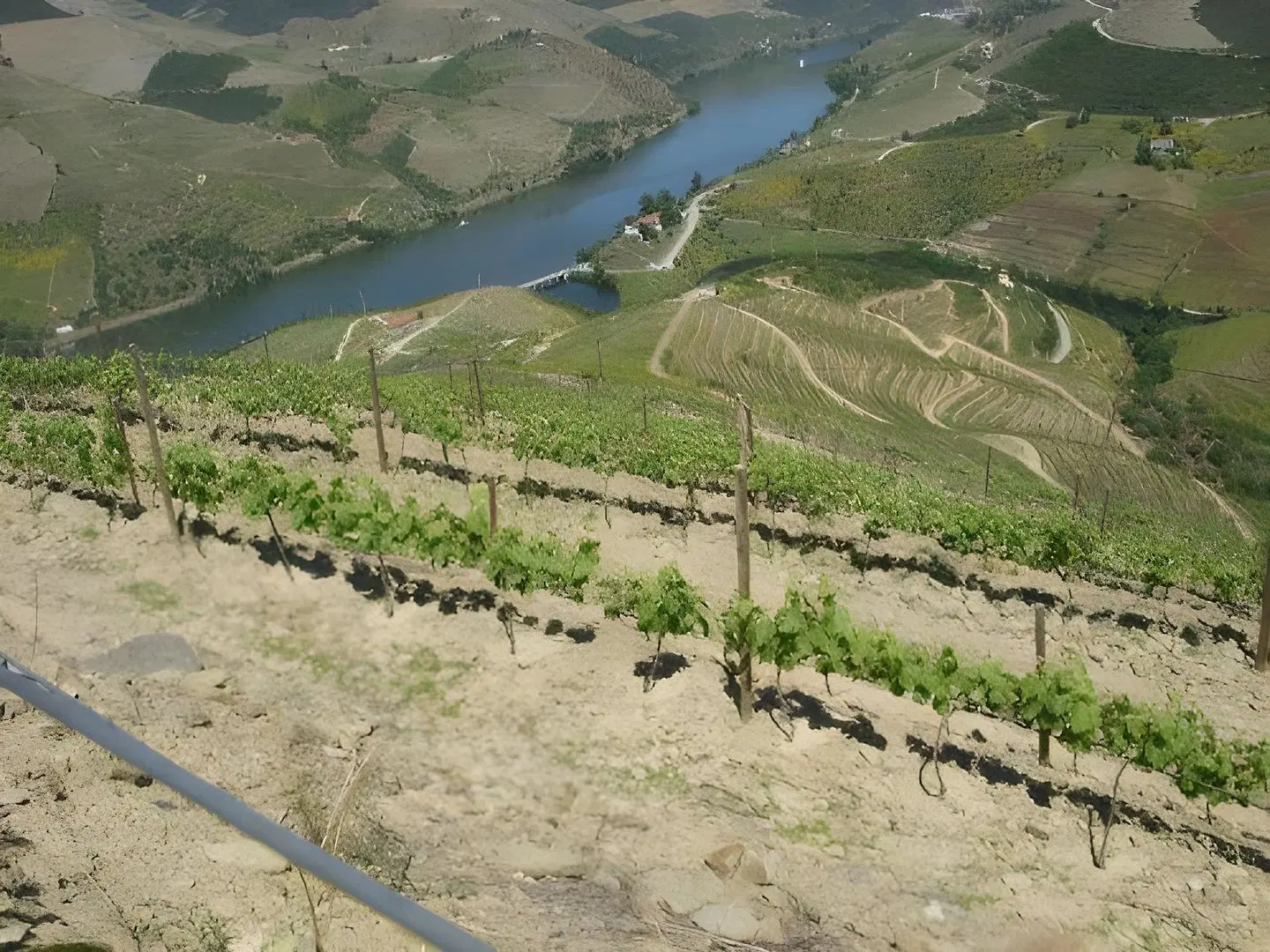 Quinta Da Azenha LANDSCAPE