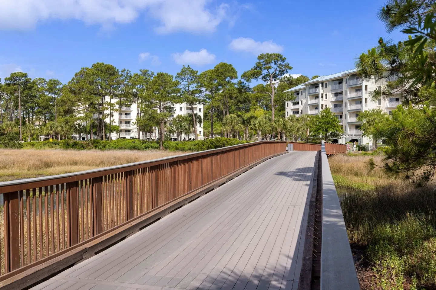 Marriott's SurfWatch LANDSCAPE
