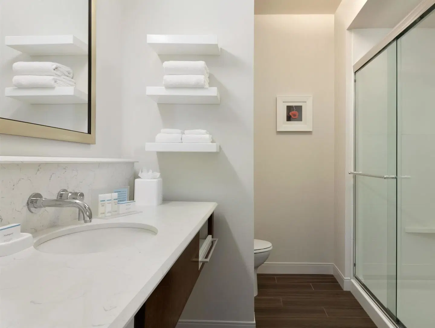 Hampton Inn & Suites Seattle/Renton Badezimmer