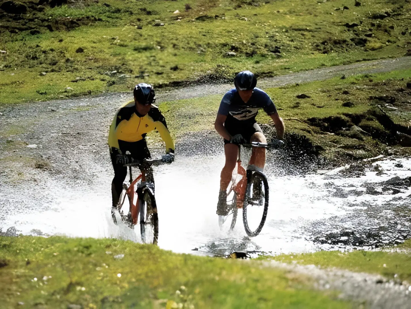 Scheffer's SPORTS_AND_LEISURE