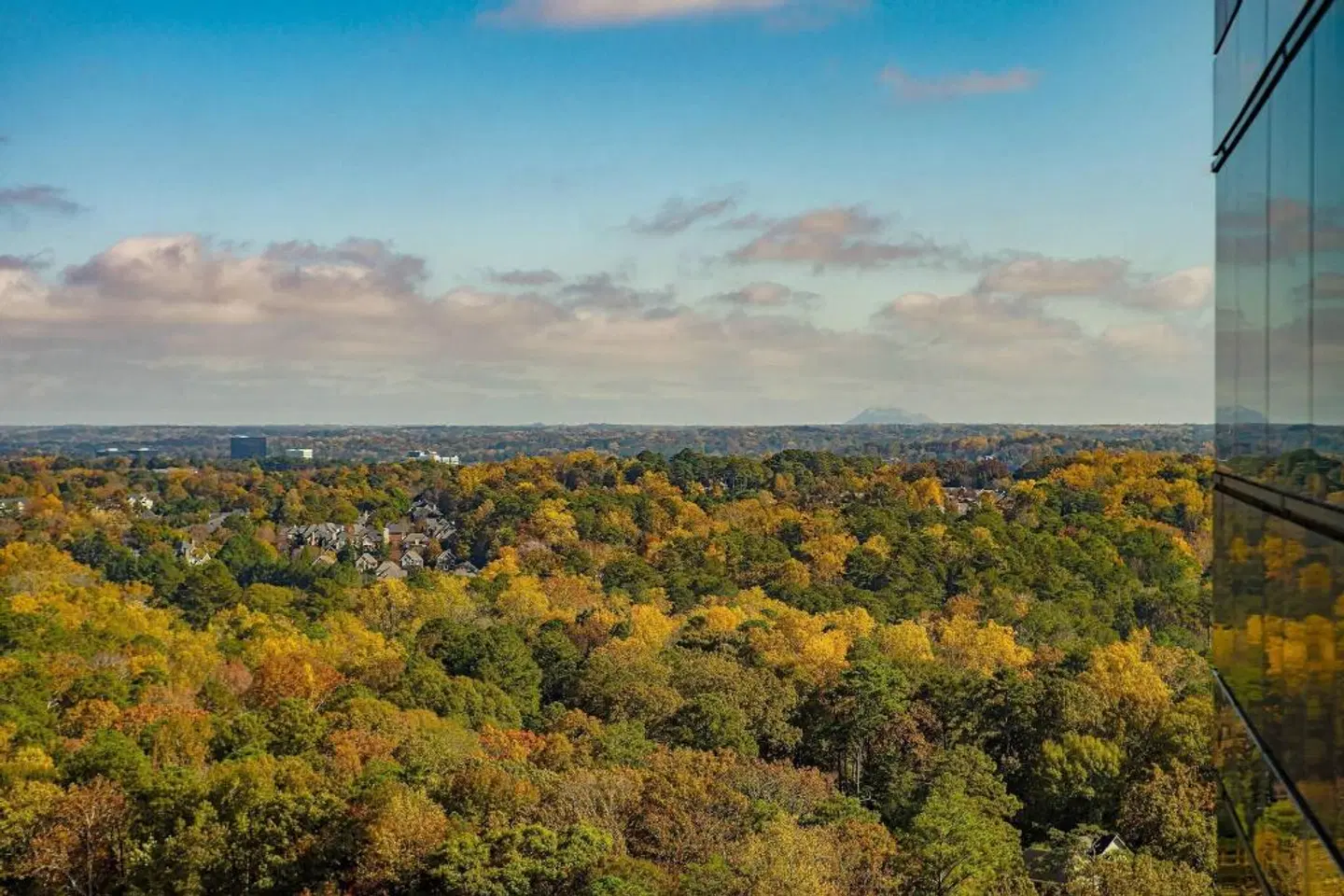 JW Marriott Atlanta Buckhead LANDSCAPE