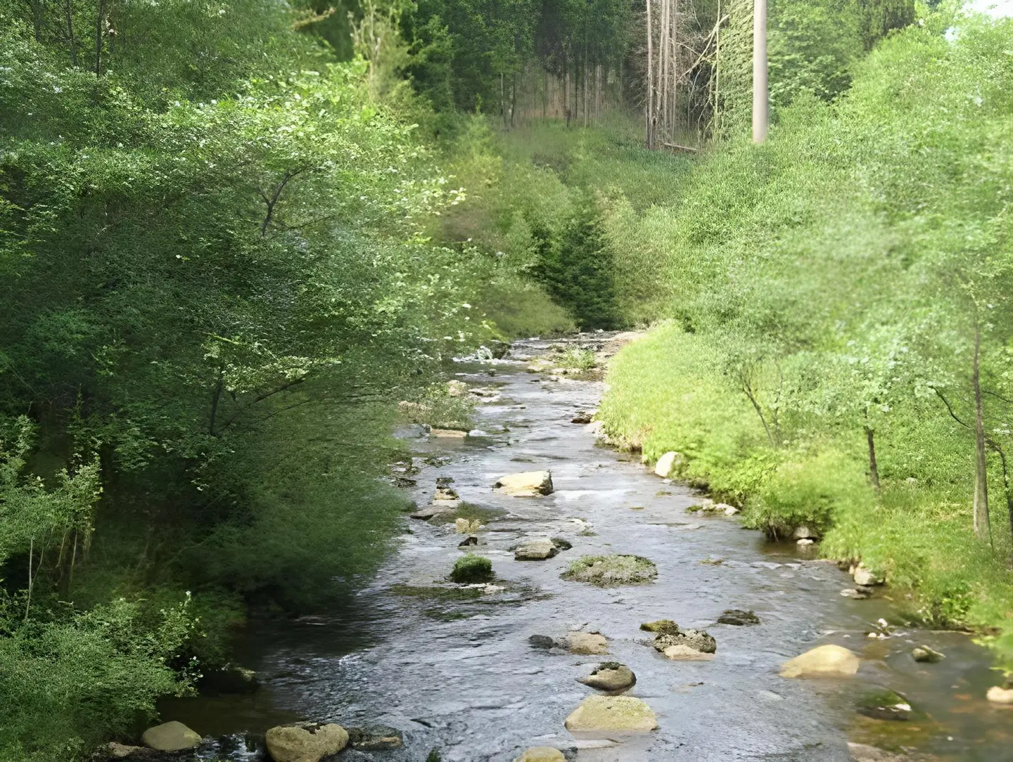 Kleines Berghaus Garten