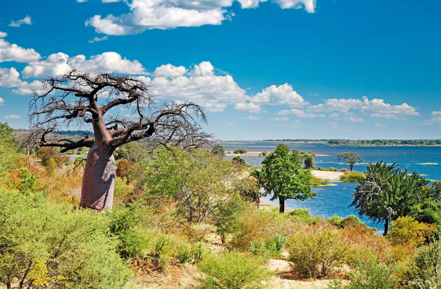Botswana Exklusiv mit Sanctuary Retreats LANDSCAPE
