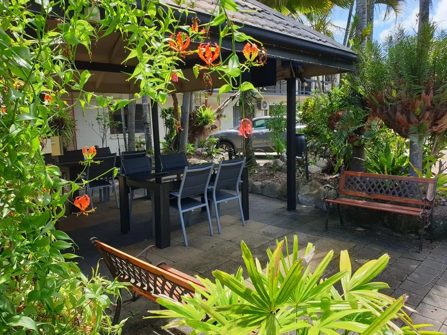 Cairns City Palms Garten
