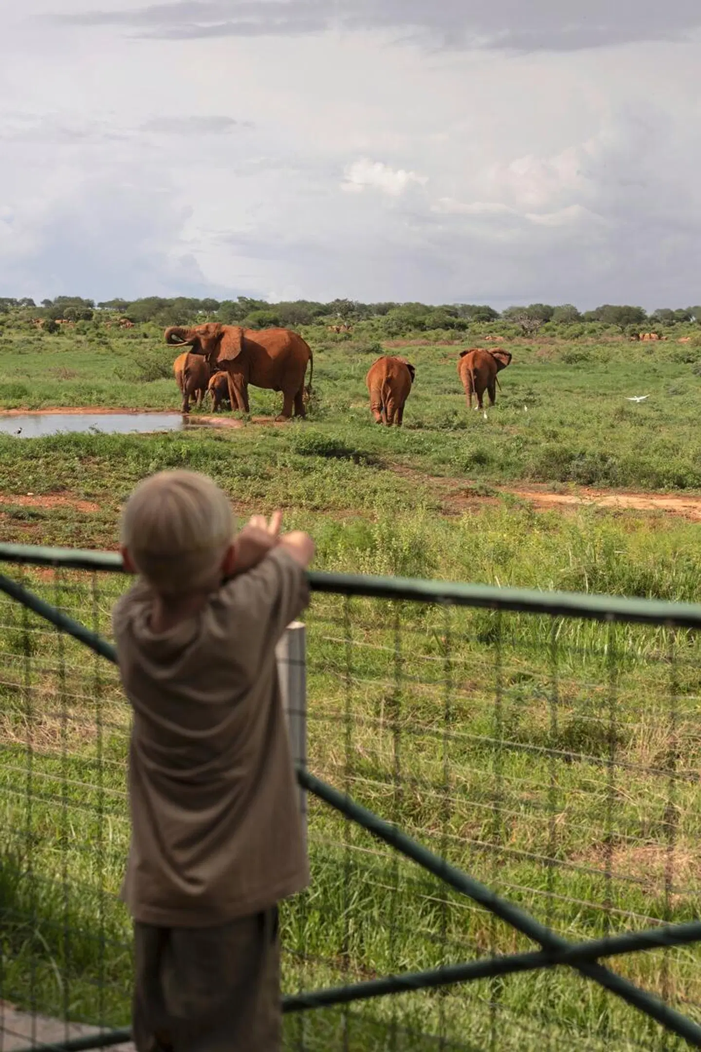 Tierische Familienzeit Tiere