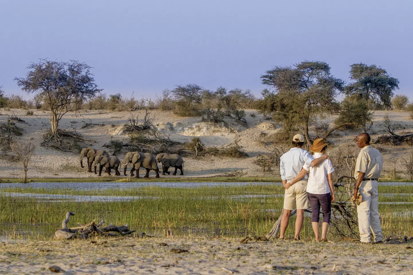 Der Herzschlag Afrikas (8 Nächte ab Maun) Tiere