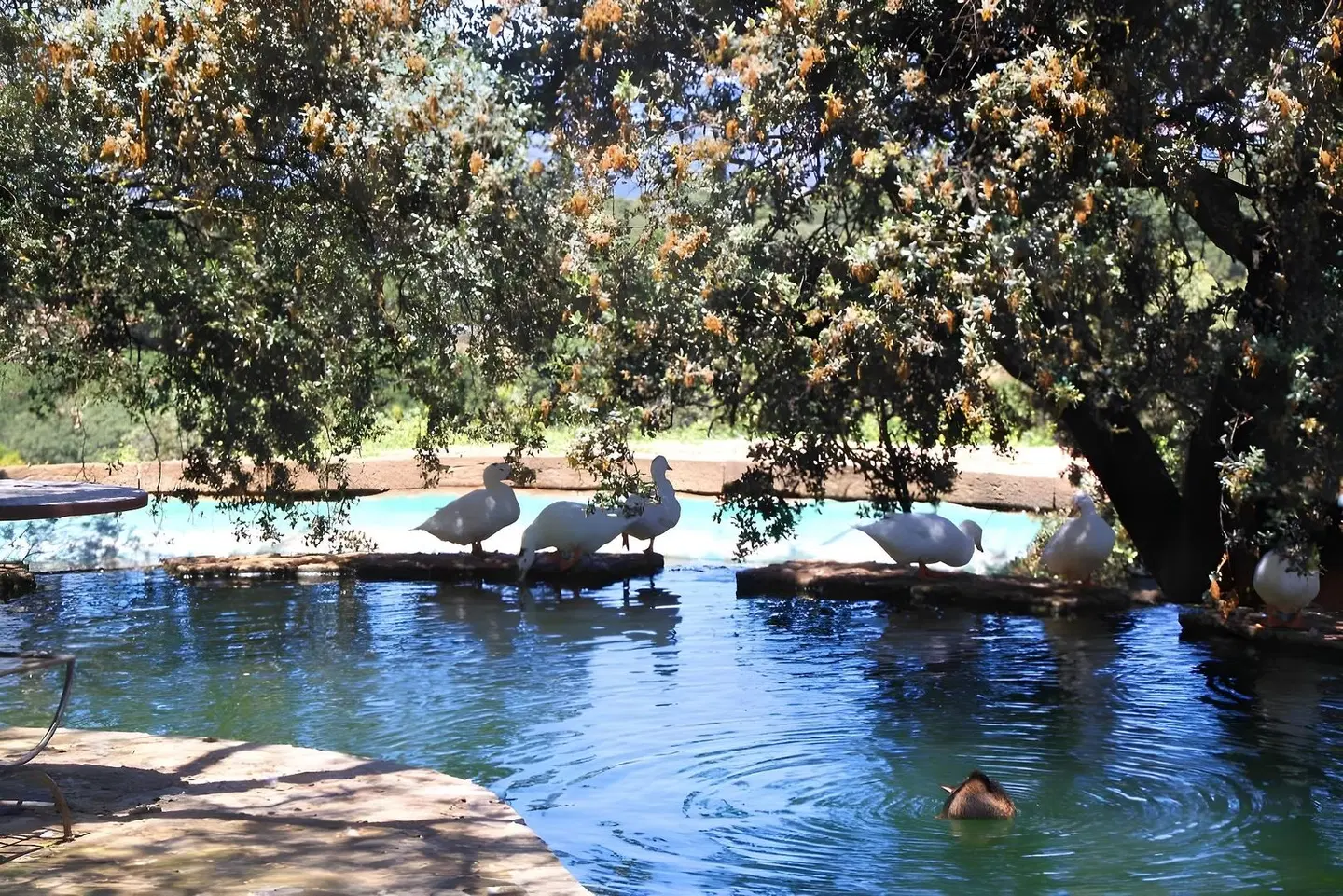 Los Pilares de Ronda Boutique & Hotel SPORTS_AND_LEISURE