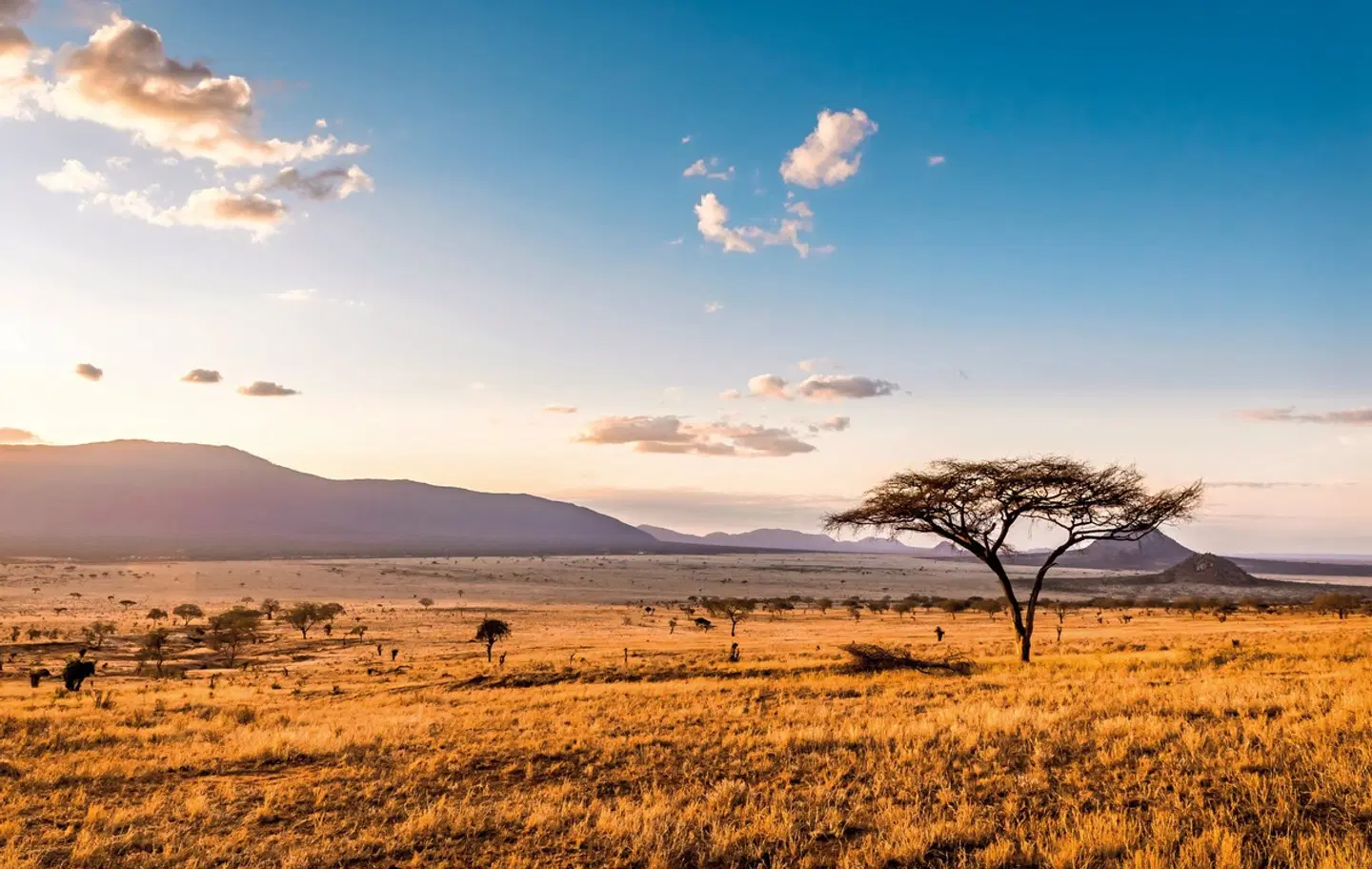 Kenia Explorer LANDSCAPE