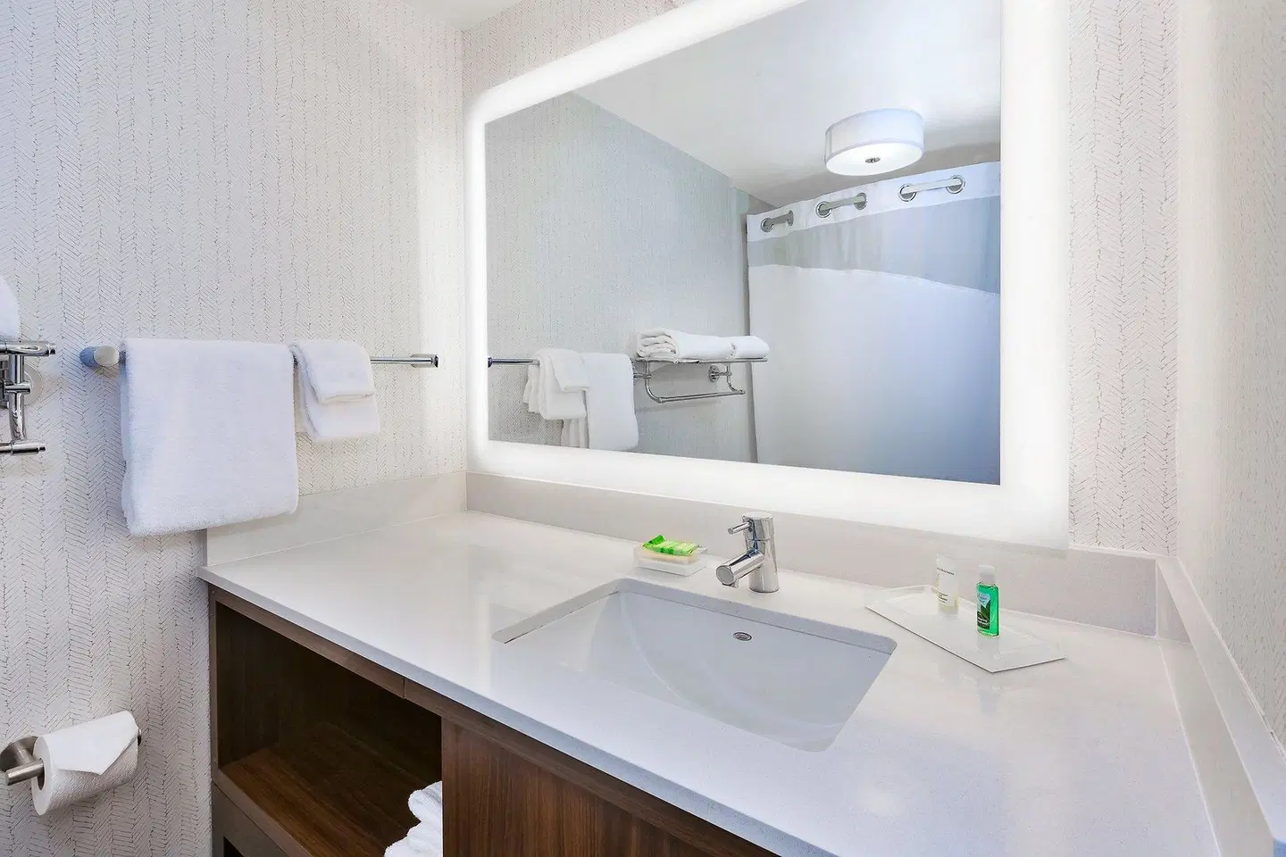 Holiday Inn Grand Rapids Downtown by IHG Badezimmer