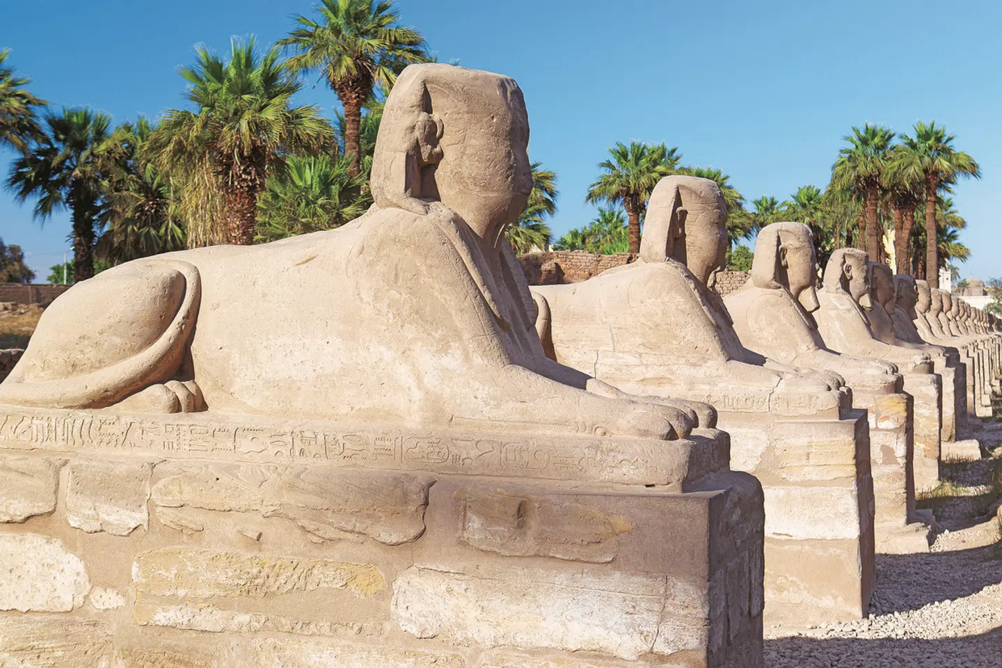 Kleine Nilkreuzfahrt ab Luxor bis Assuan Tiere