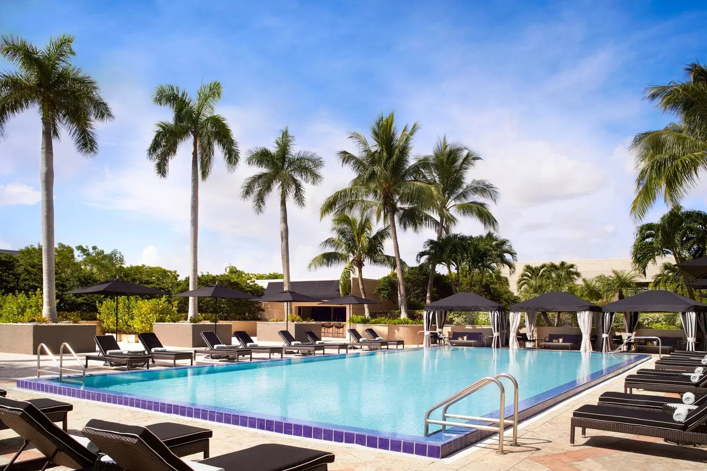 The Ritz-Carlton Coconut Grove, Miami OUTDOOR_POOL
