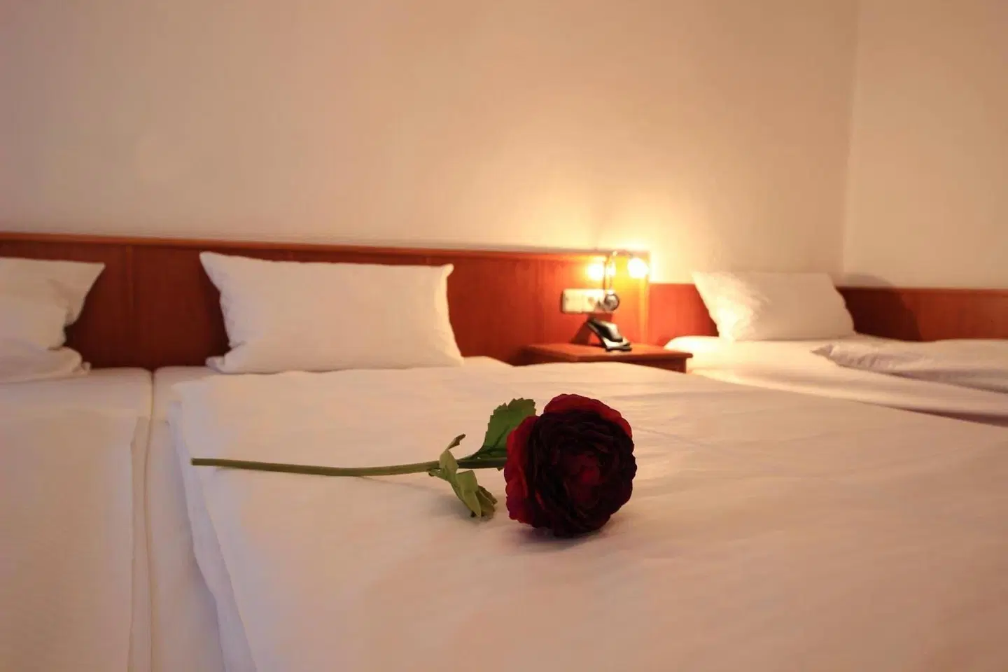 Altstadthotel Fürth ROOM_EXAMPLE
