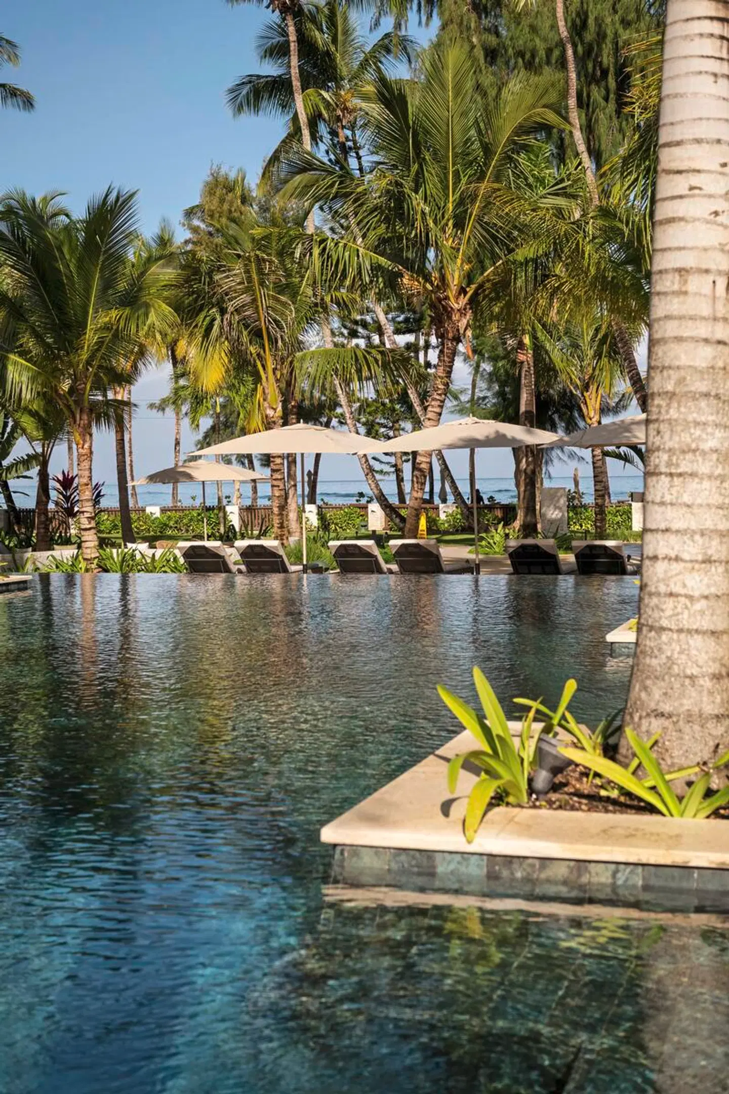 Donoma Las Terrenas Beach Hotel & Spa, Autograph Collection OUTDOOR_POOL