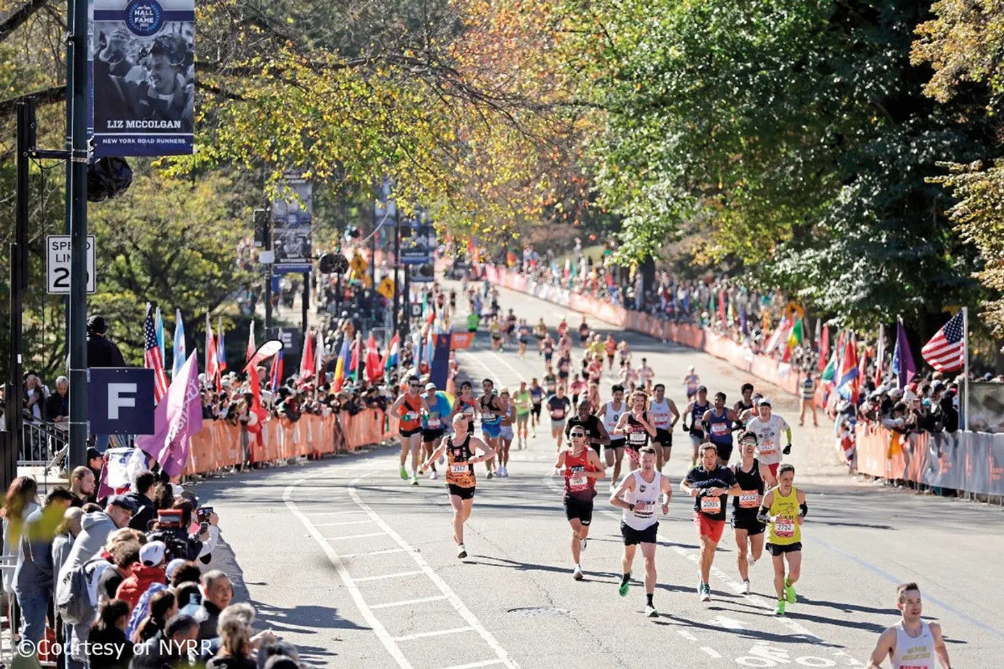 Park Central Hotel - inklusive 1 Startnummer New York Marathon SPORTS_AND_LEISURE