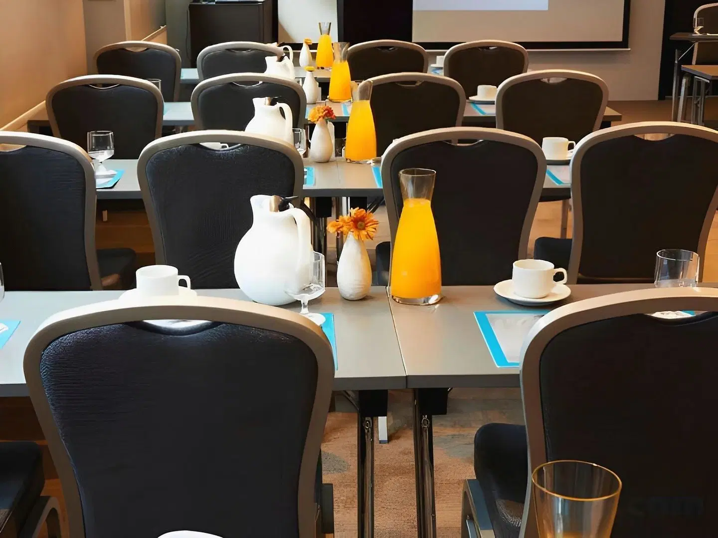 Fosshotel Husavik Konferenz