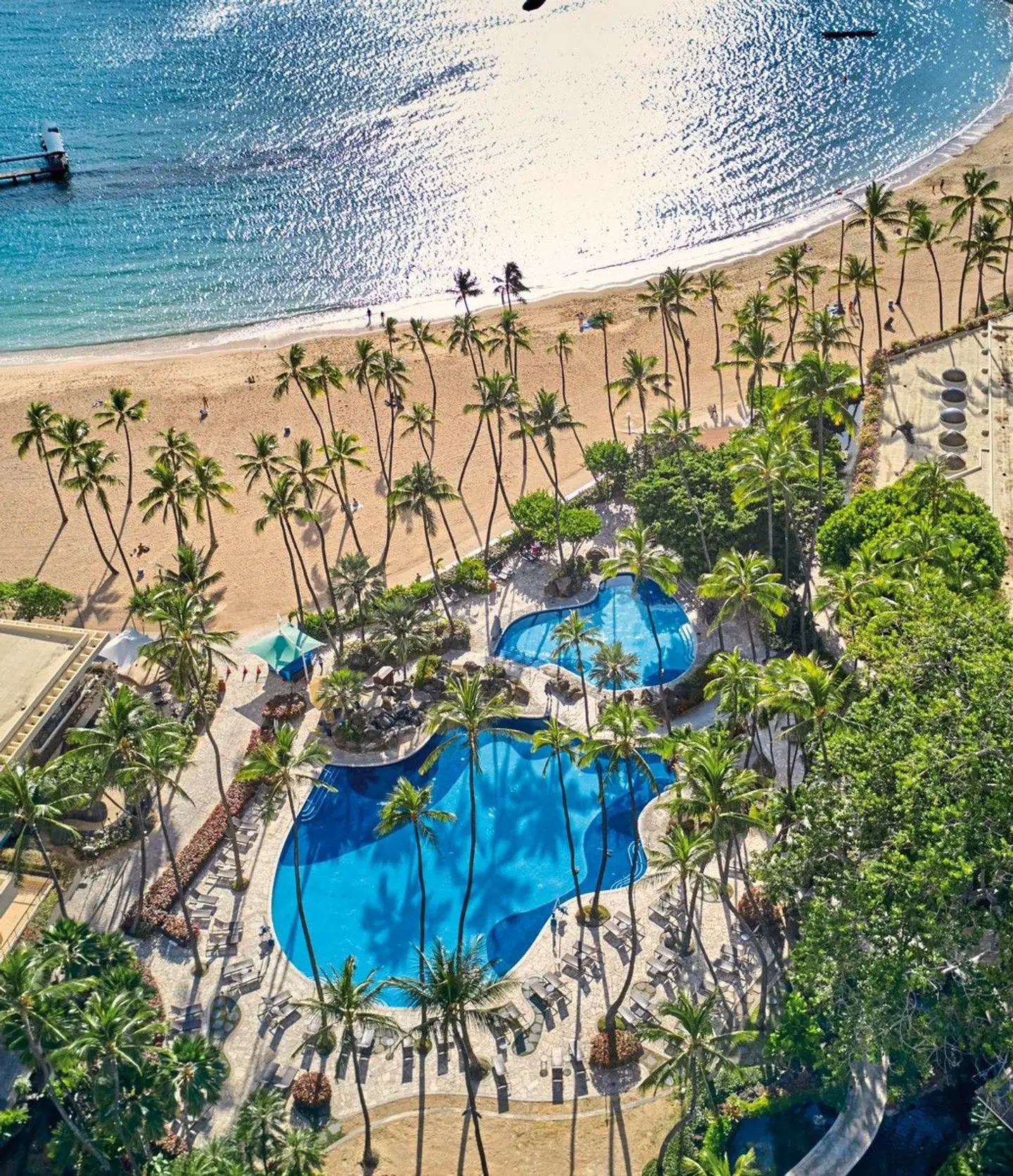 Hilton Hawaiian Village Waikiki Beach Resort MODEL_IMPRESSION