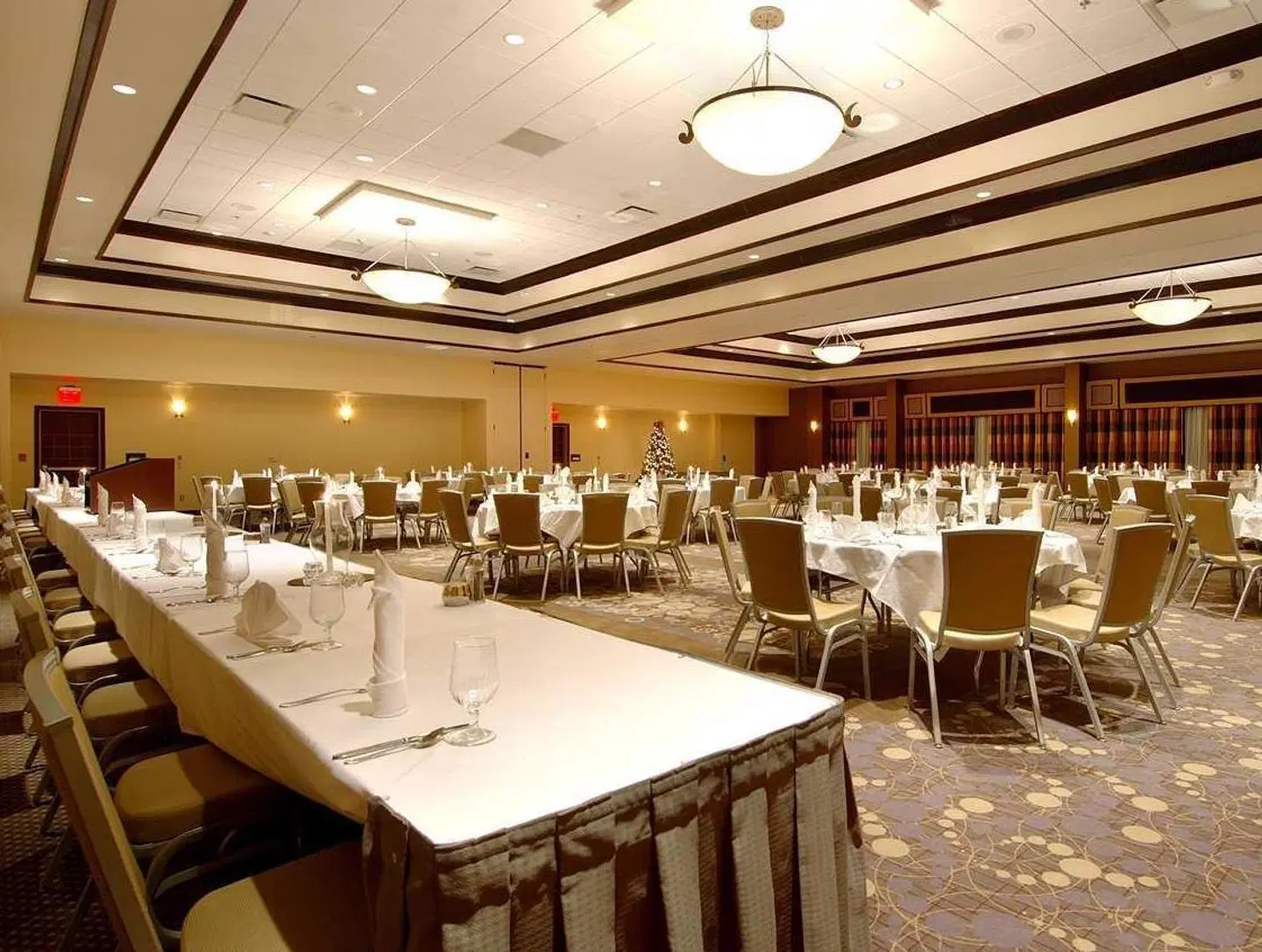 Hilton Garden Inn Las Cruces Konferenz