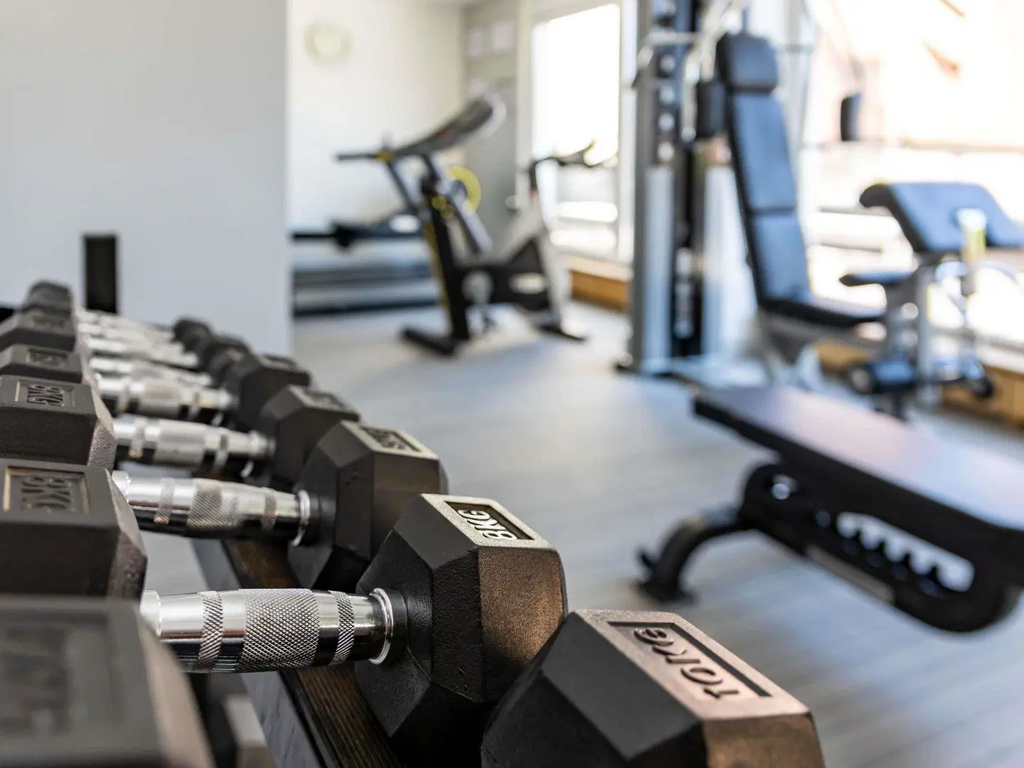 Sofitel Strasbourg Grande Ile SPORTS_AND_LEISURE