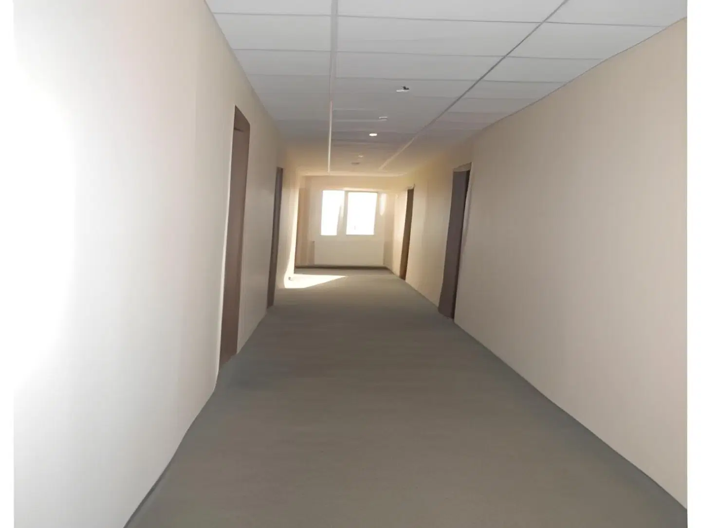 Rex ROOM_EXAMPLE