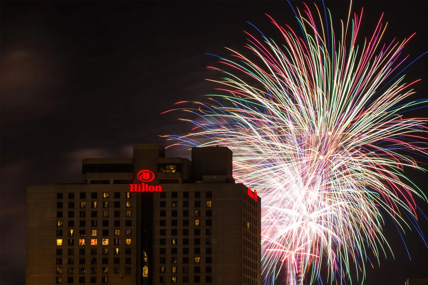 Hilton New Orleans Riverside Tiere