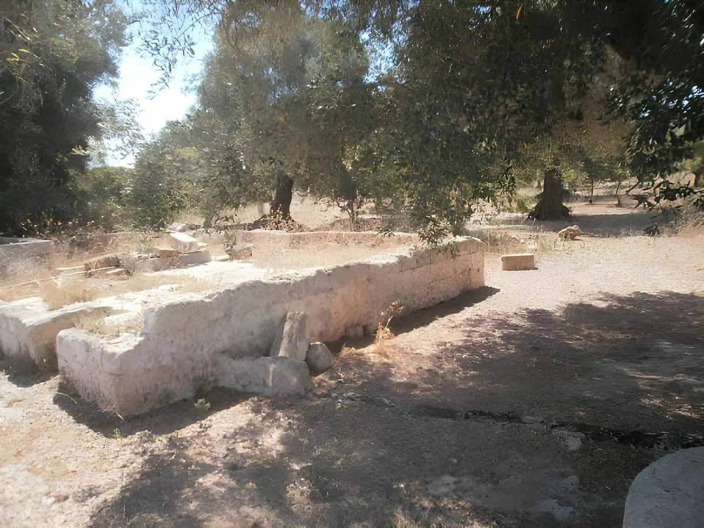 Masseria Nuova LANDSCAPE