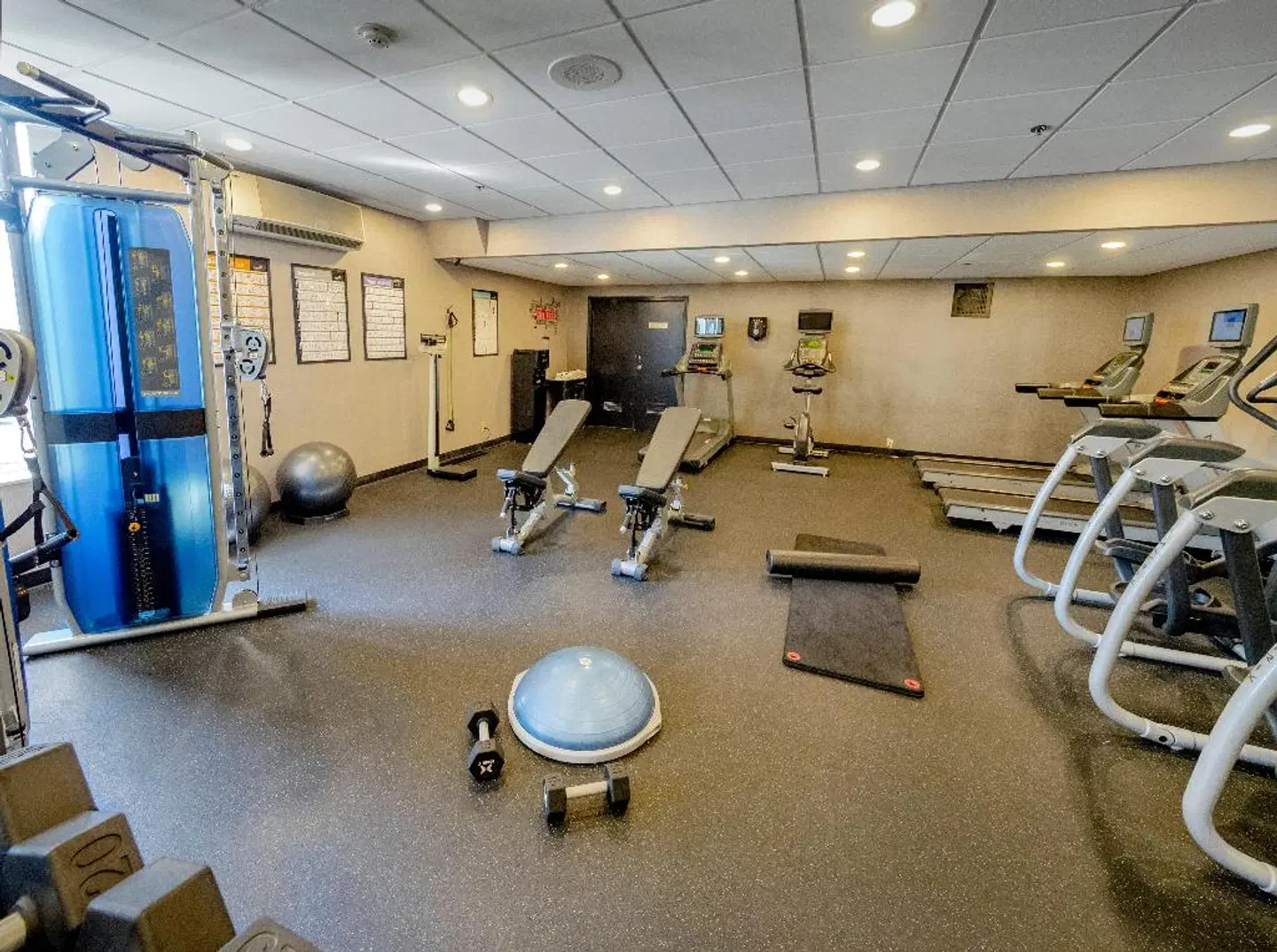 Holiday Inn Niagara Falls-Scenic Downtown by IHG SPORTS_AND_LEISURE