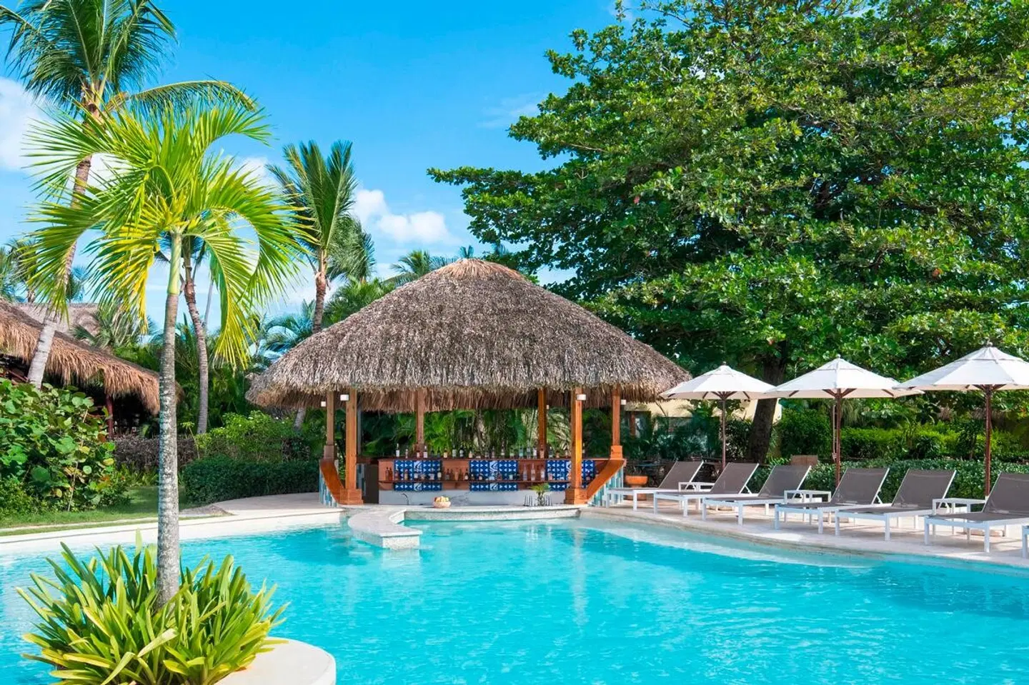 Zoetry Agua Punta Cana OUTDOOR_POOL