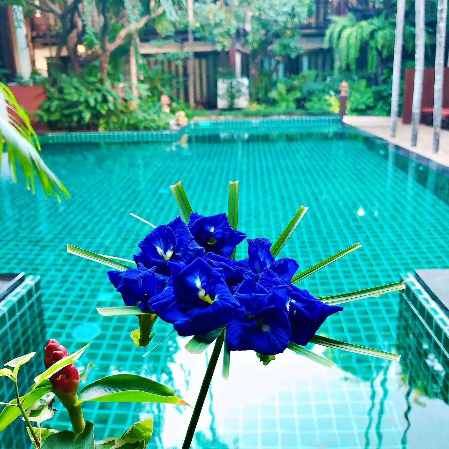 Yantarasiri Boutique & Resort OUTDOOR_POOL
