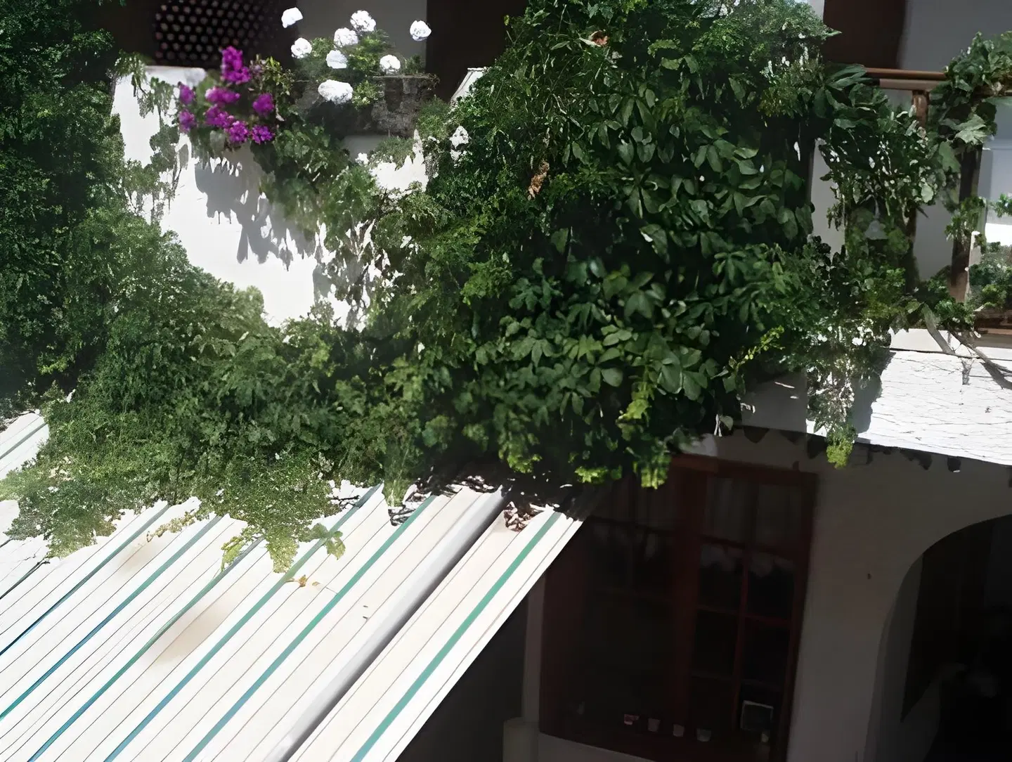 Hotel Sweet Home Terrasse