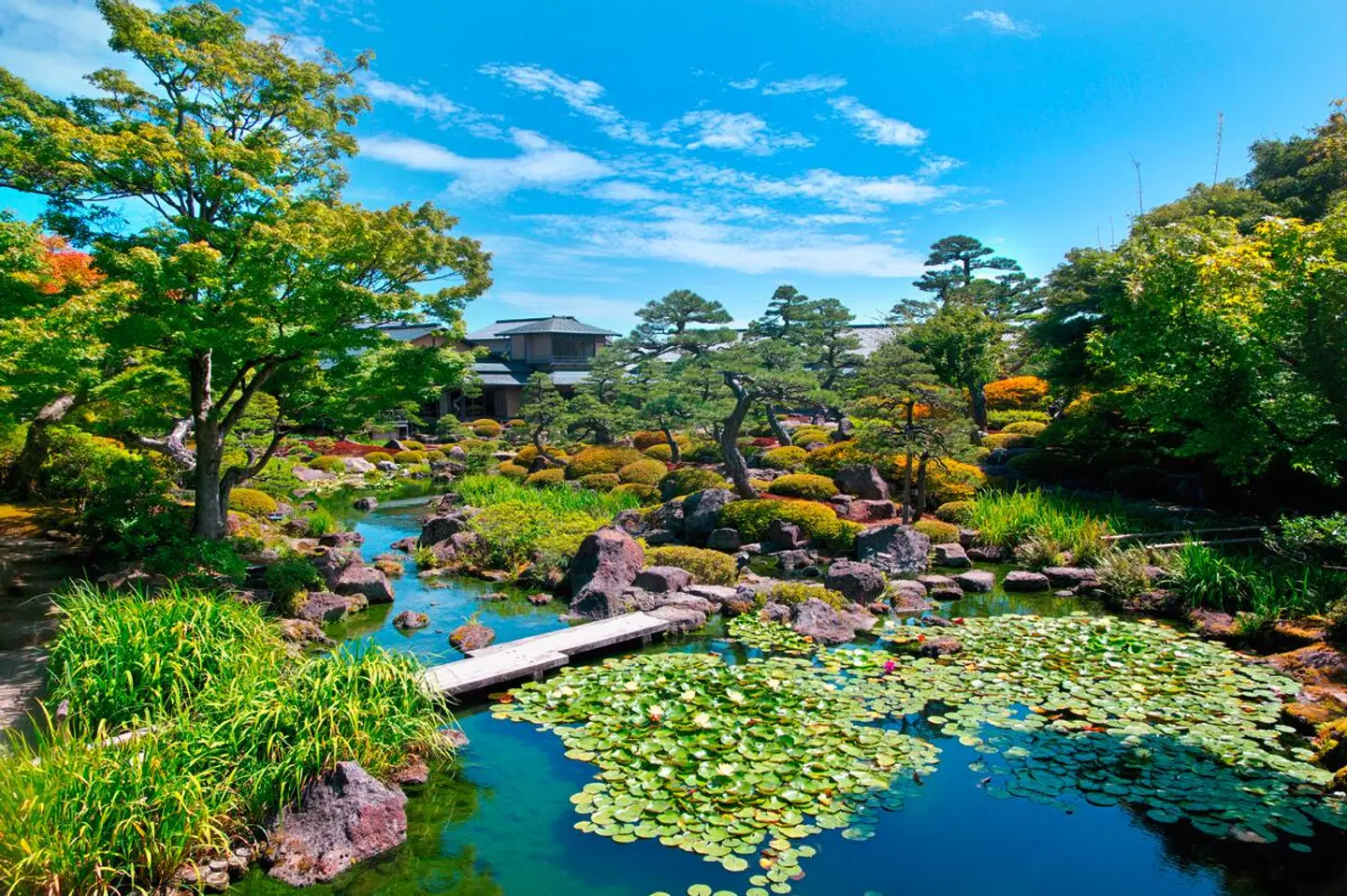 Japan mit allen Sinnen (inkl. Flug) Garten