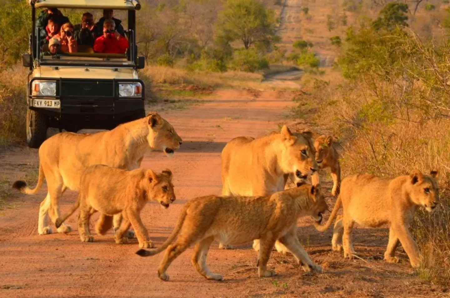Hoyo Hoyo Safari Lodge Tiere