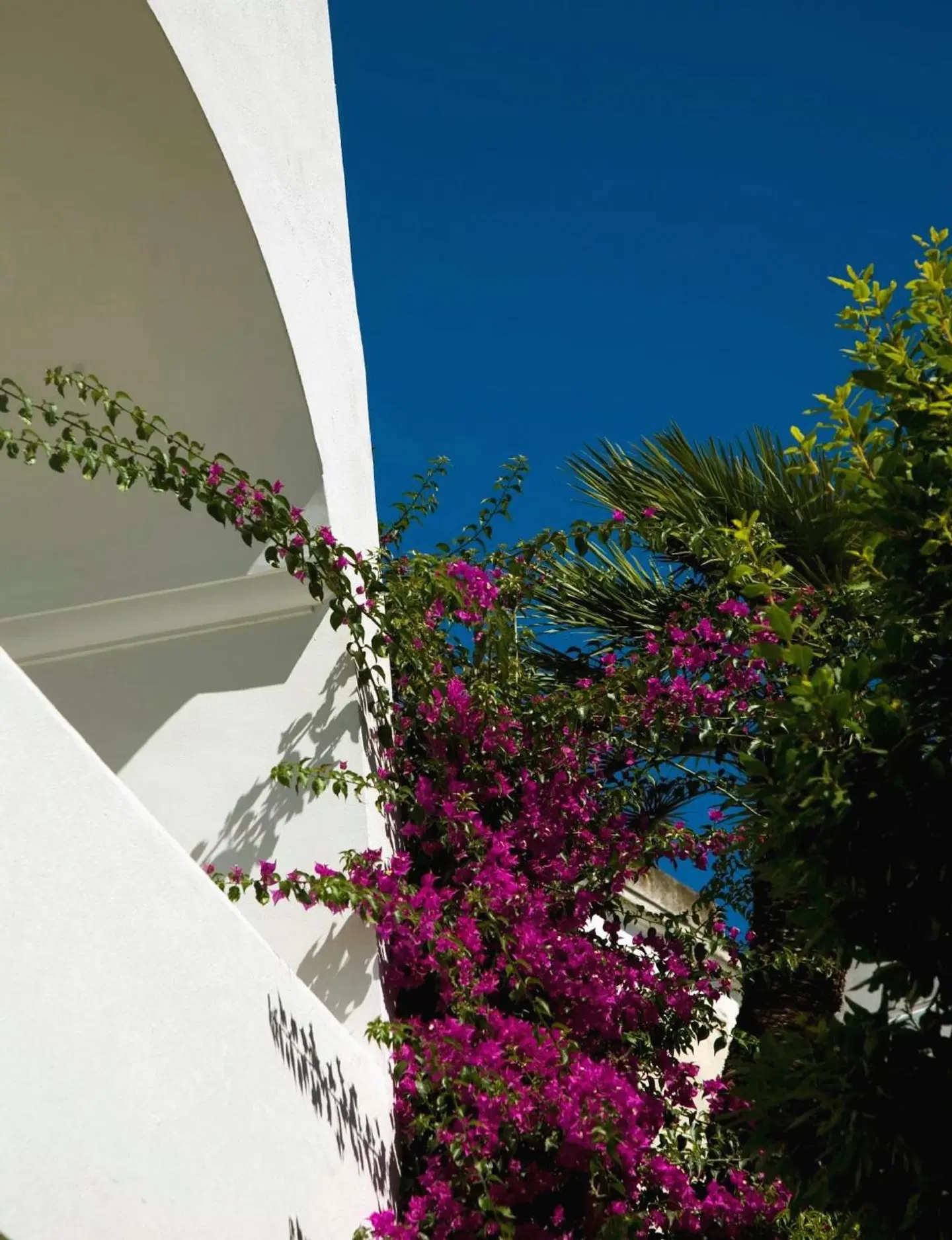 Albergo Gatto Bianco Terrasse
