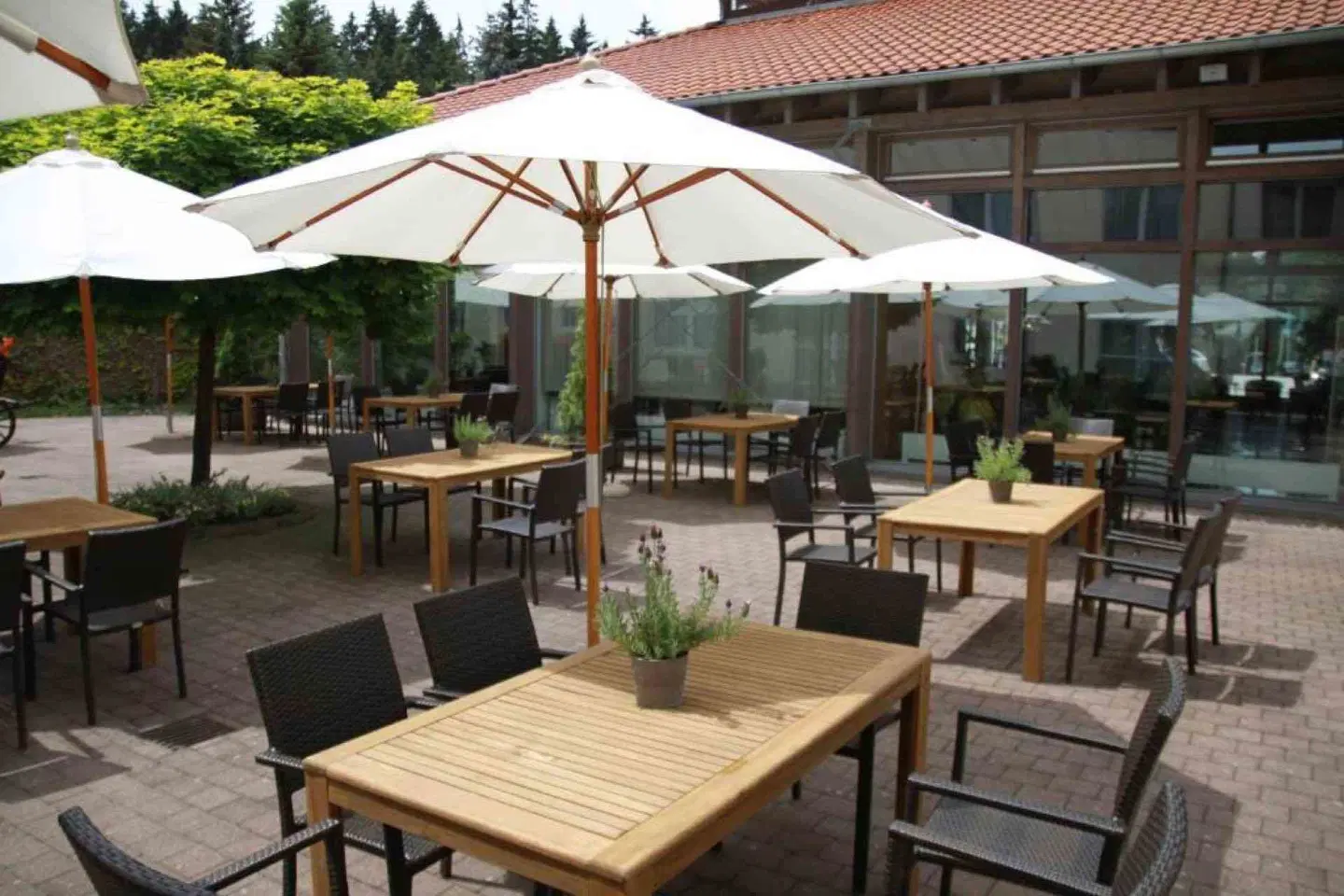 Waldhotel Berghof TERRACE